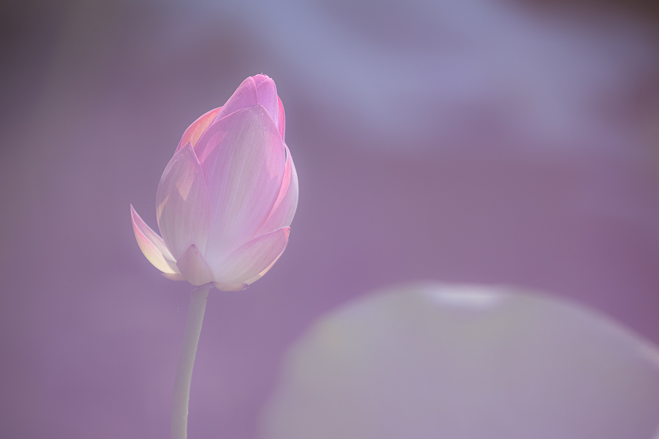 Астраханская область 2025 | Фотограф Дмитрий Купрацевич. Дмитрий Купрацевич профессиональный пейзажный и travel-фотограф