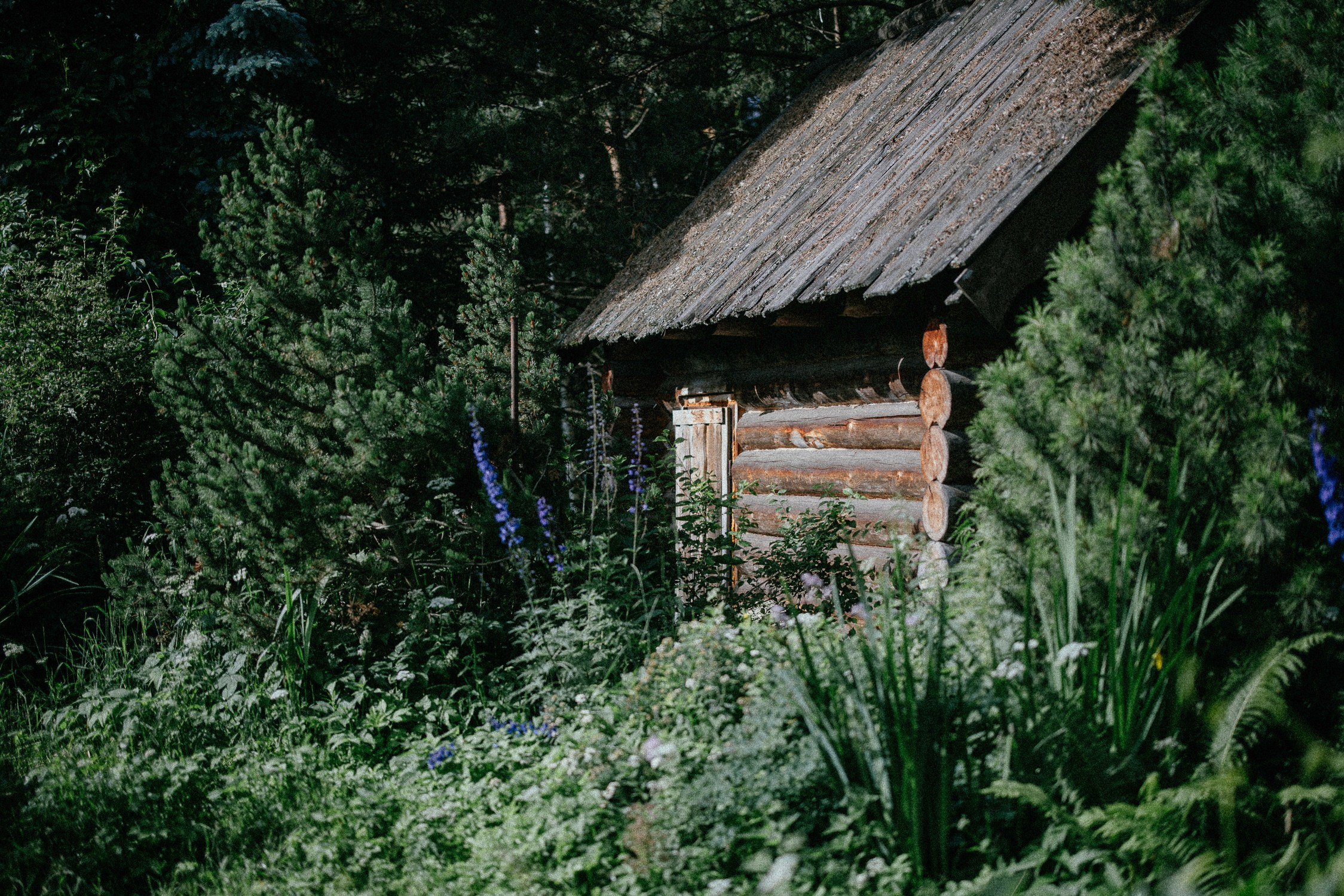 Зал «Сад» фотостудии «Зачарованный Сад» в Екатеринбурге — природная локация для фотосессий. Фотостудия «Зачарованный Сад» в 20 минутах от центра Екатеринбурга