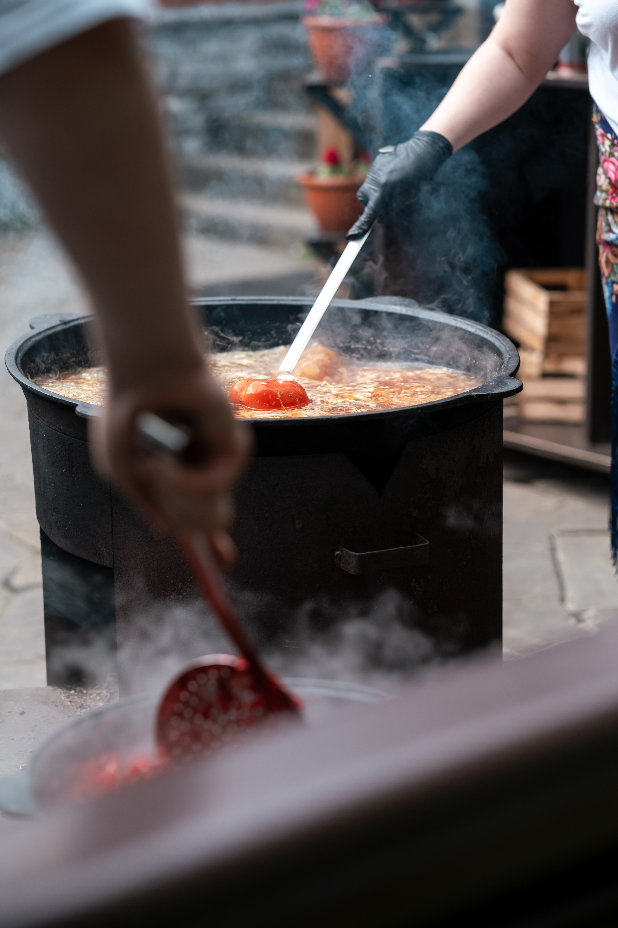 День России в Росинке. Семейный и детский фотограф в Москве Светлана Потемкина