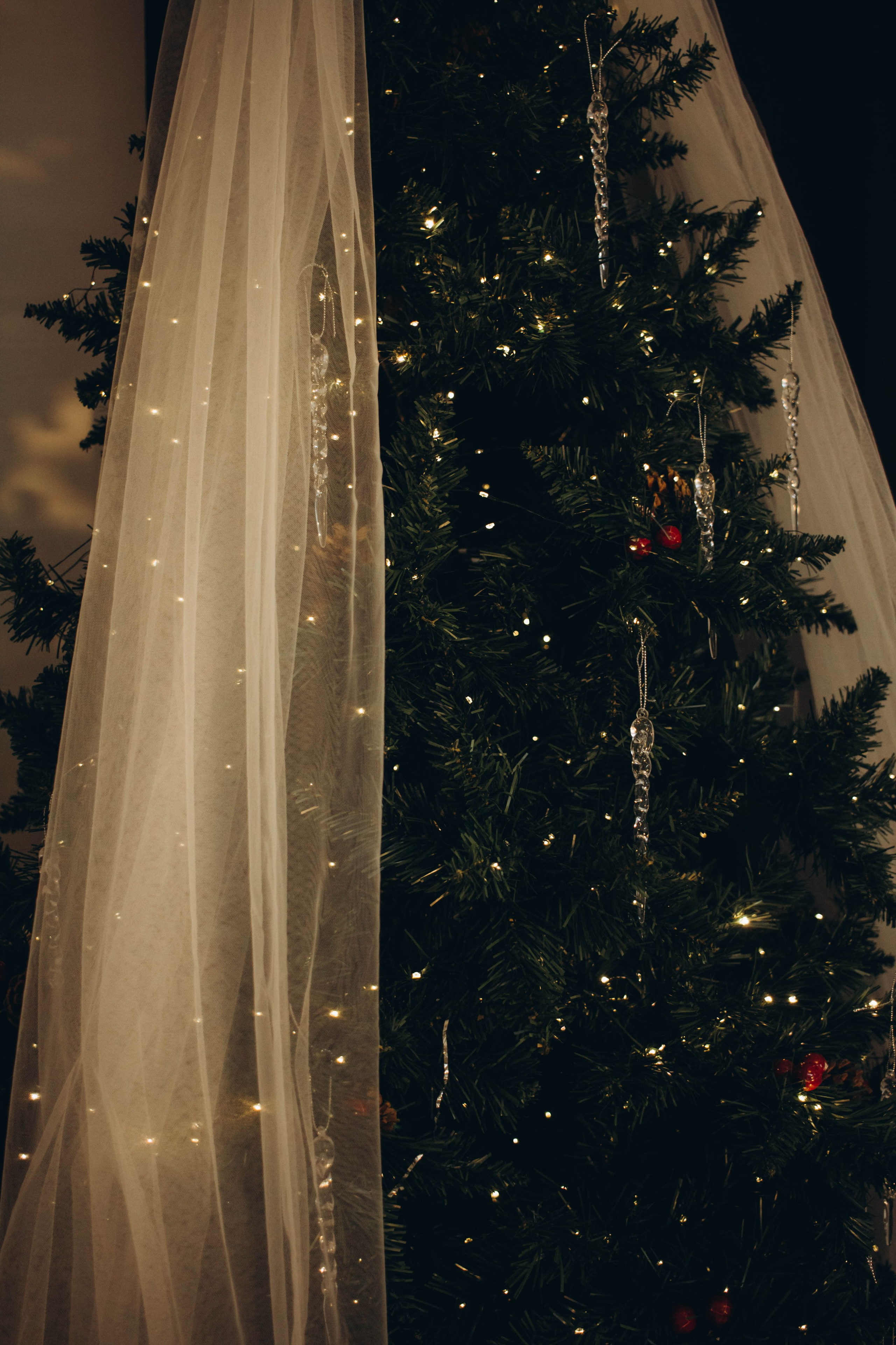 Фотостудия город Туринск : новогодняя елка, белый бант.