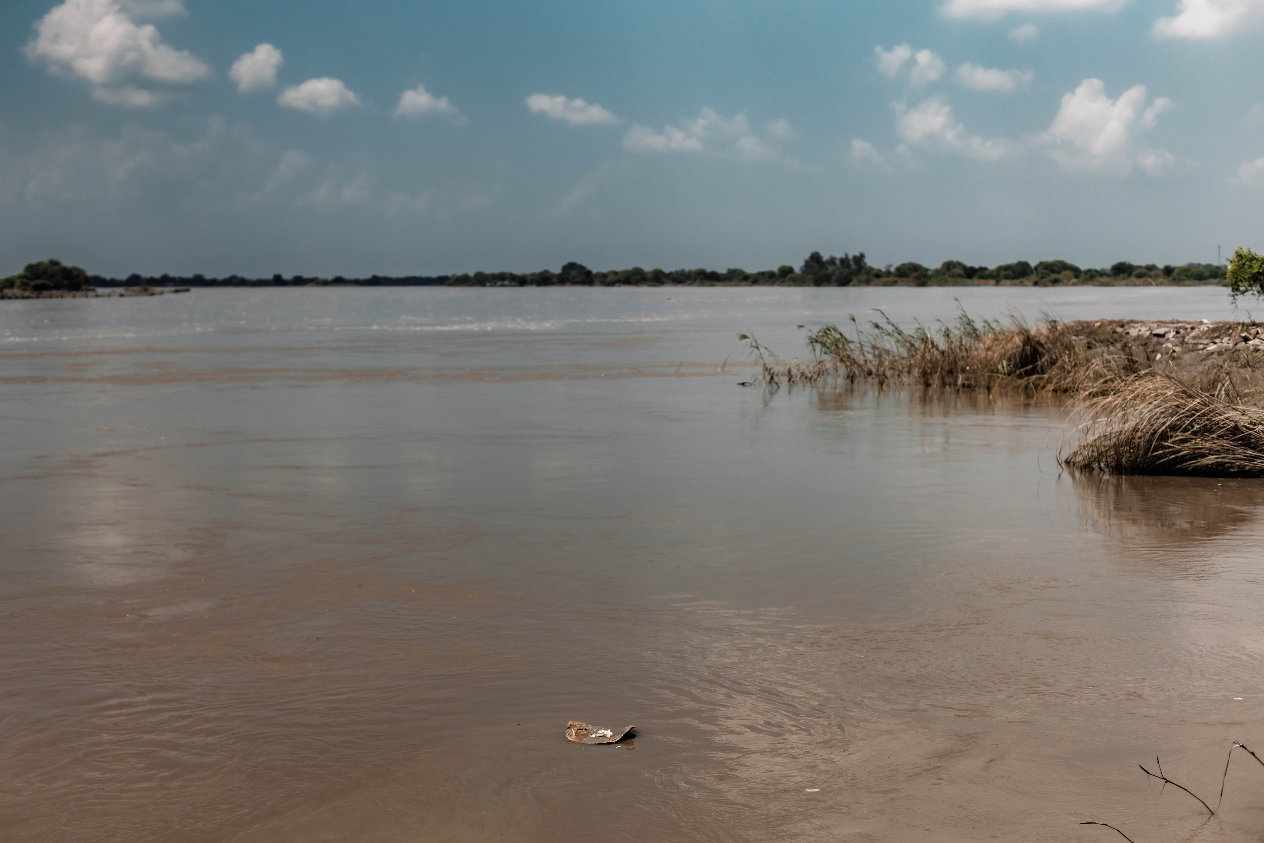 Pitri Paksha yagyas & poojas Devraha Baba ji ashram. Mariam Bagdasaryan