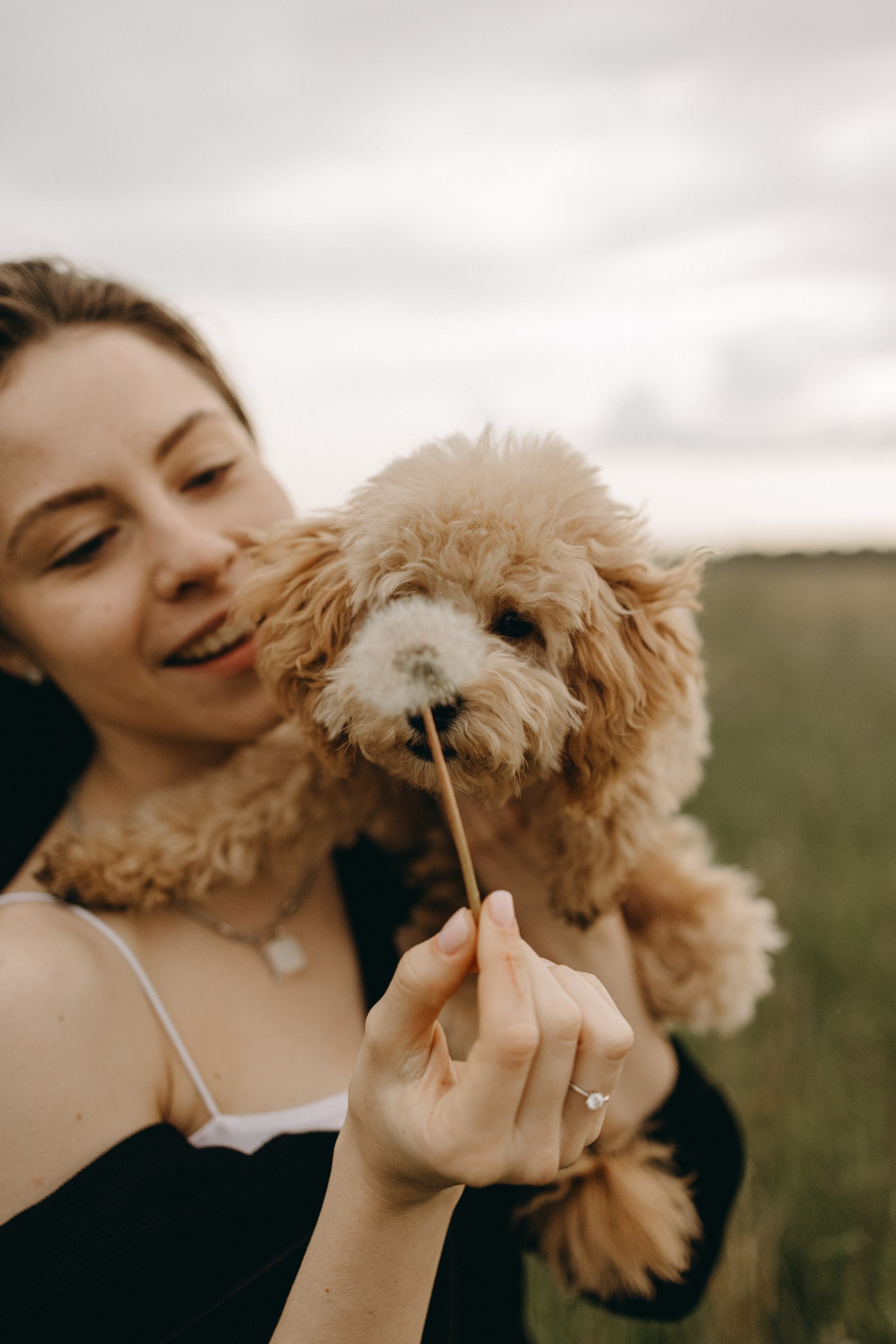 Мия и ее семья. Фотограф — Анималист | Санкт-Петербург