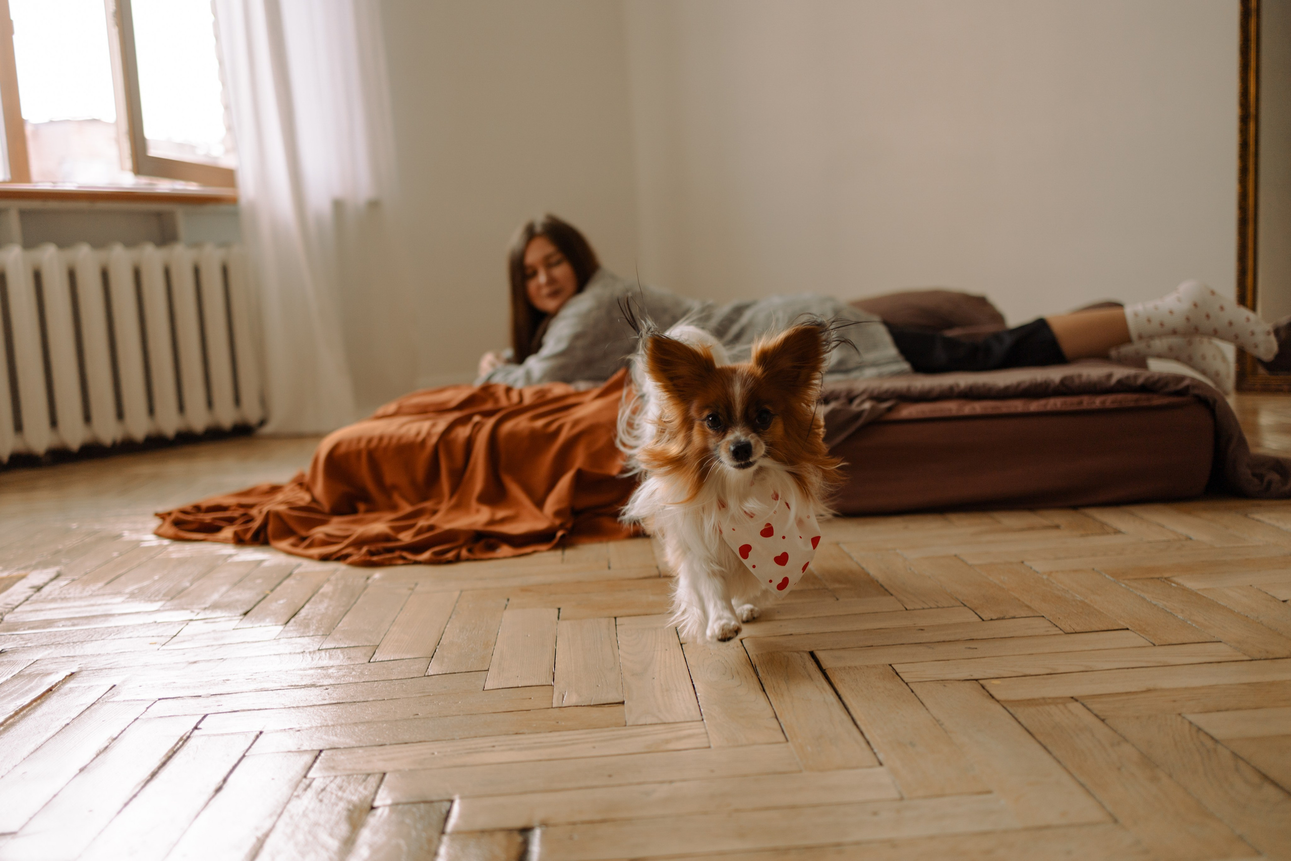 Женя и Брю. Фотограф — Анималист | Санкт-Петербург