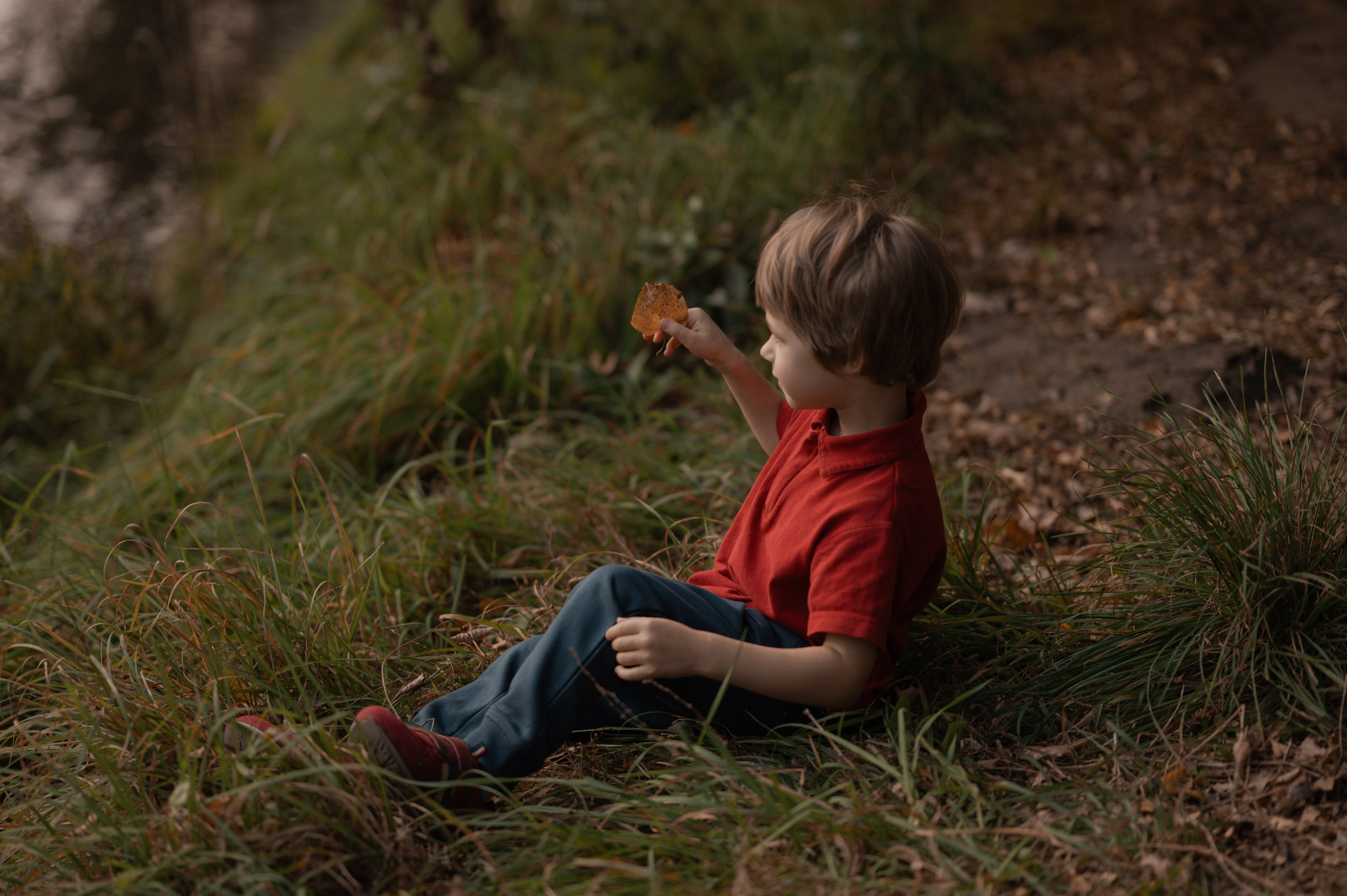 Осень. Фотограф Ким Ангелина