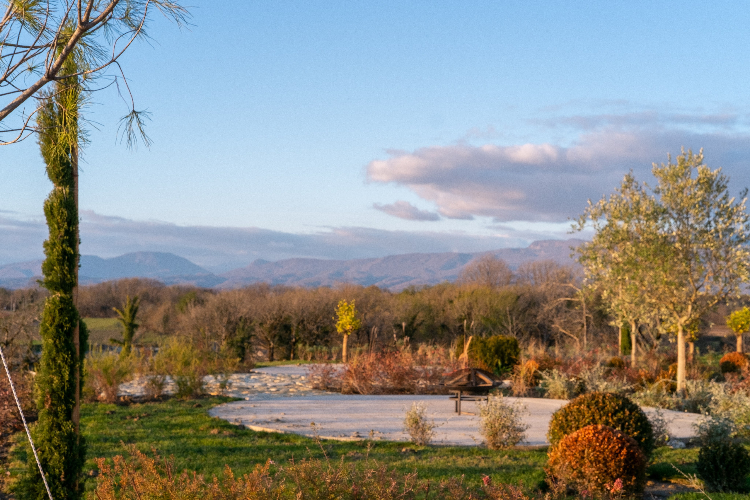 Свадьба на винодельне. Свадьба в Абхазии|Фотограф в Абхазии