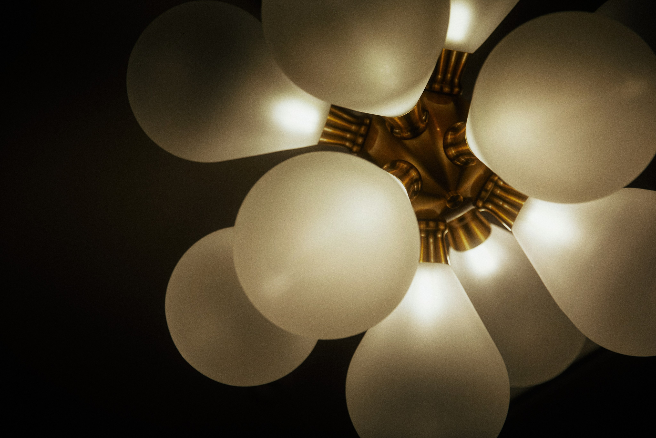 A NEW FAMILY TREE. Дмитрий Мазуркевич: Профессиональный Репортажный Фотограф