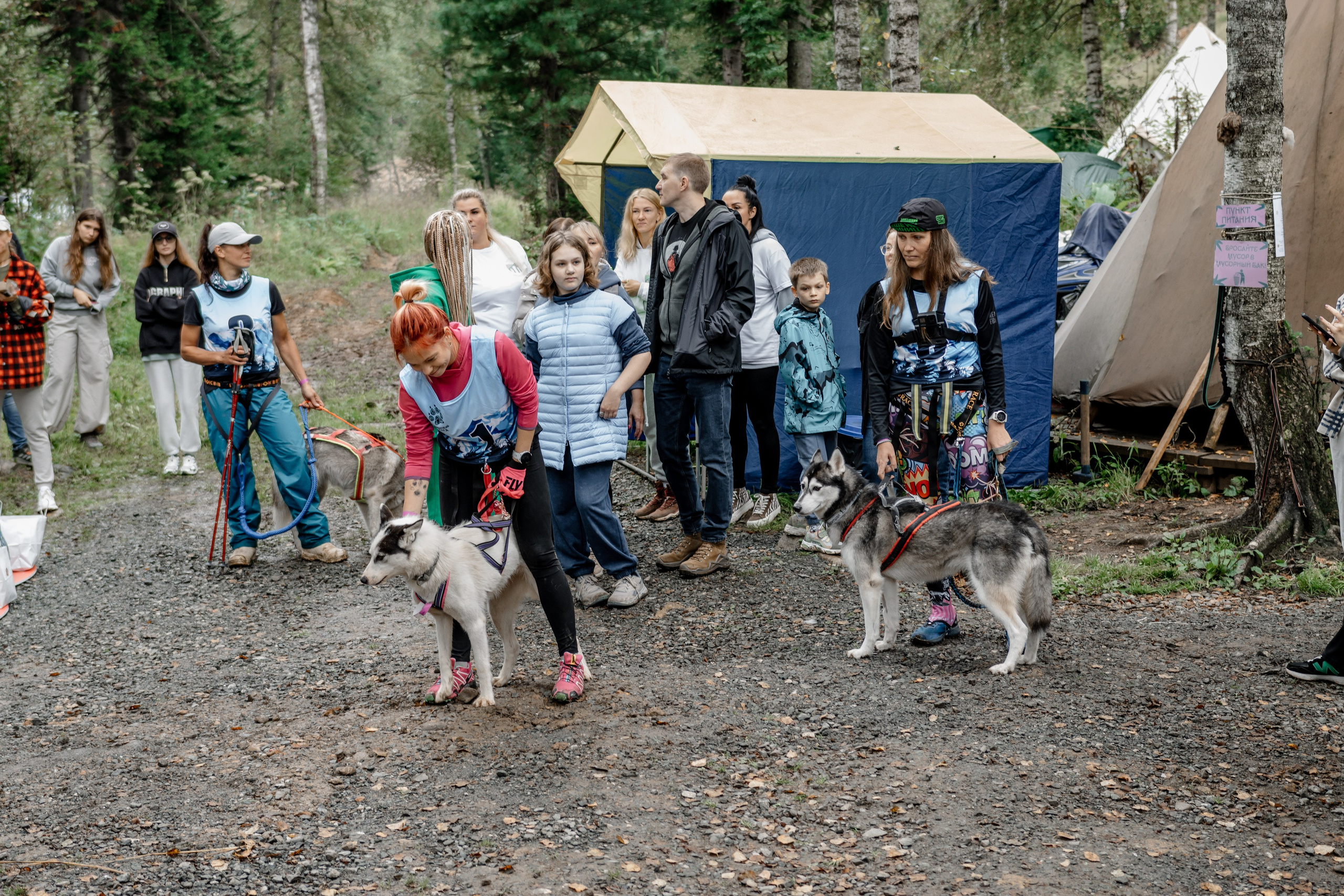 Дог-треккинг