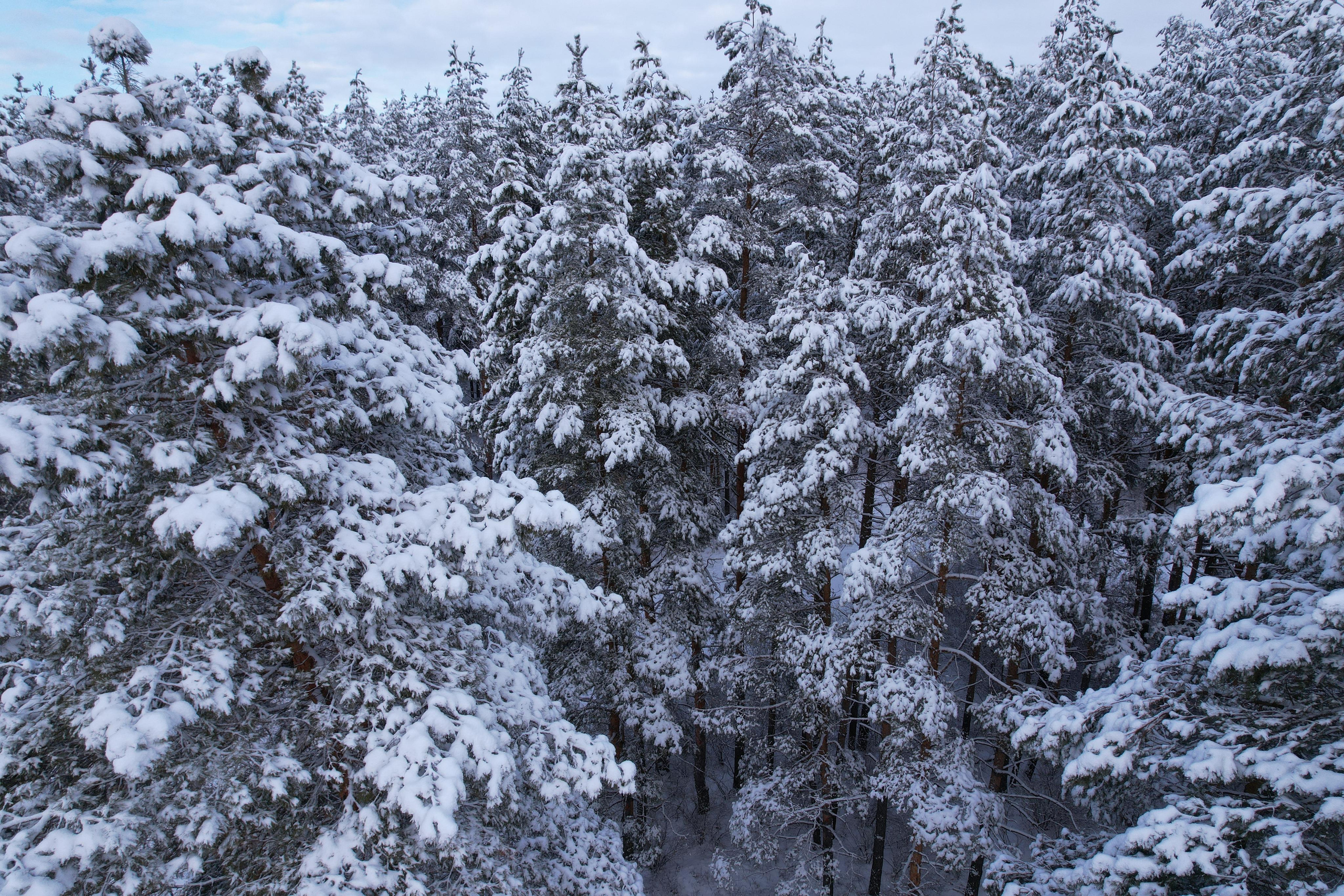 Город Сызрань. Свадебный, семейный и школьный фотограф в Сызрани Максим Баталов