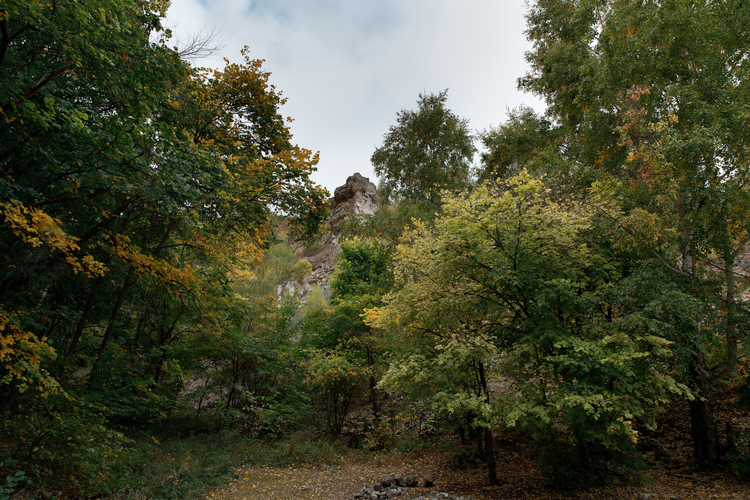Ширяево. Свадебный, семейный и школьный фотограф в Сызрани Максим Баталов