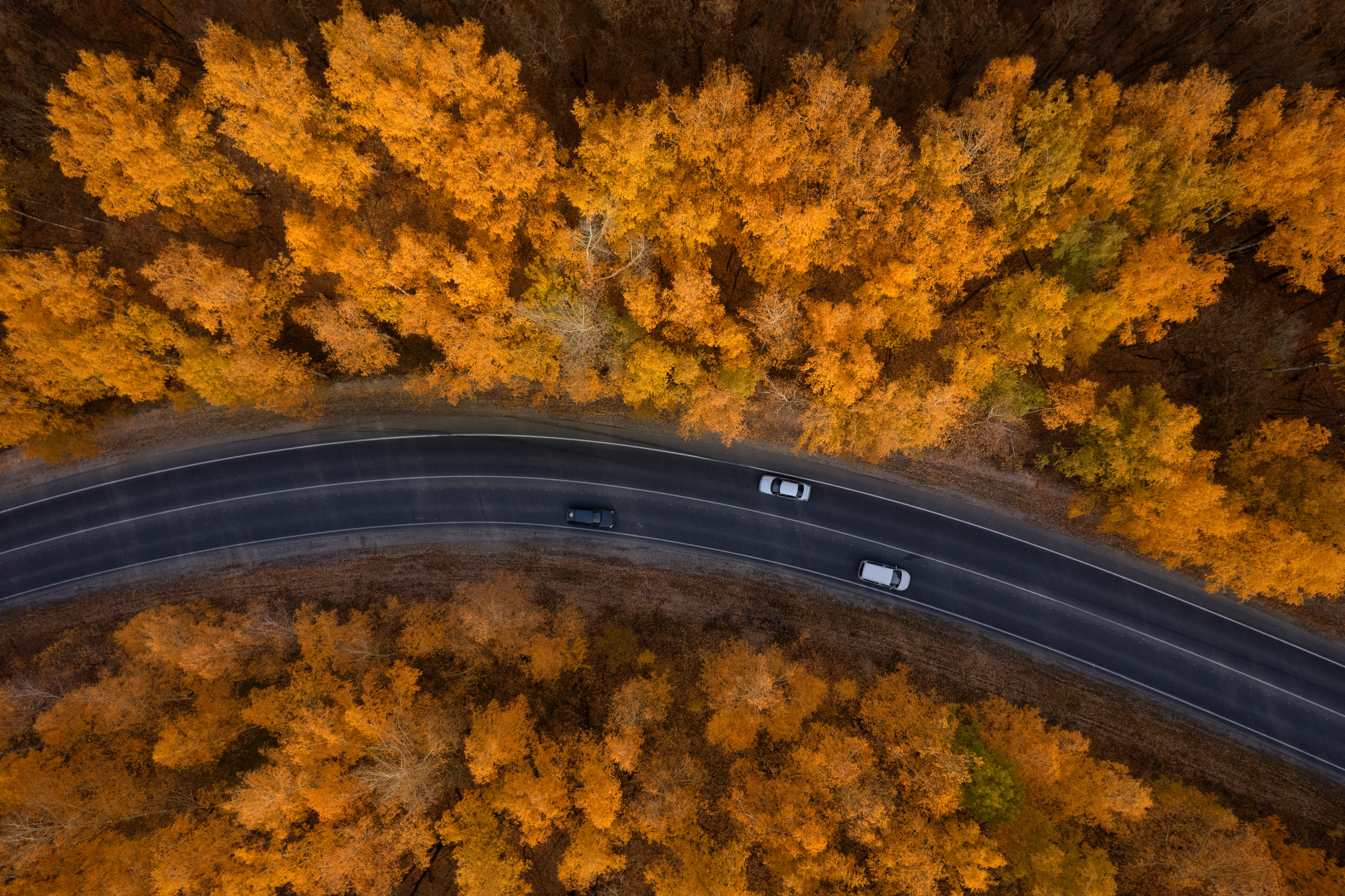 Яблоневый овраг