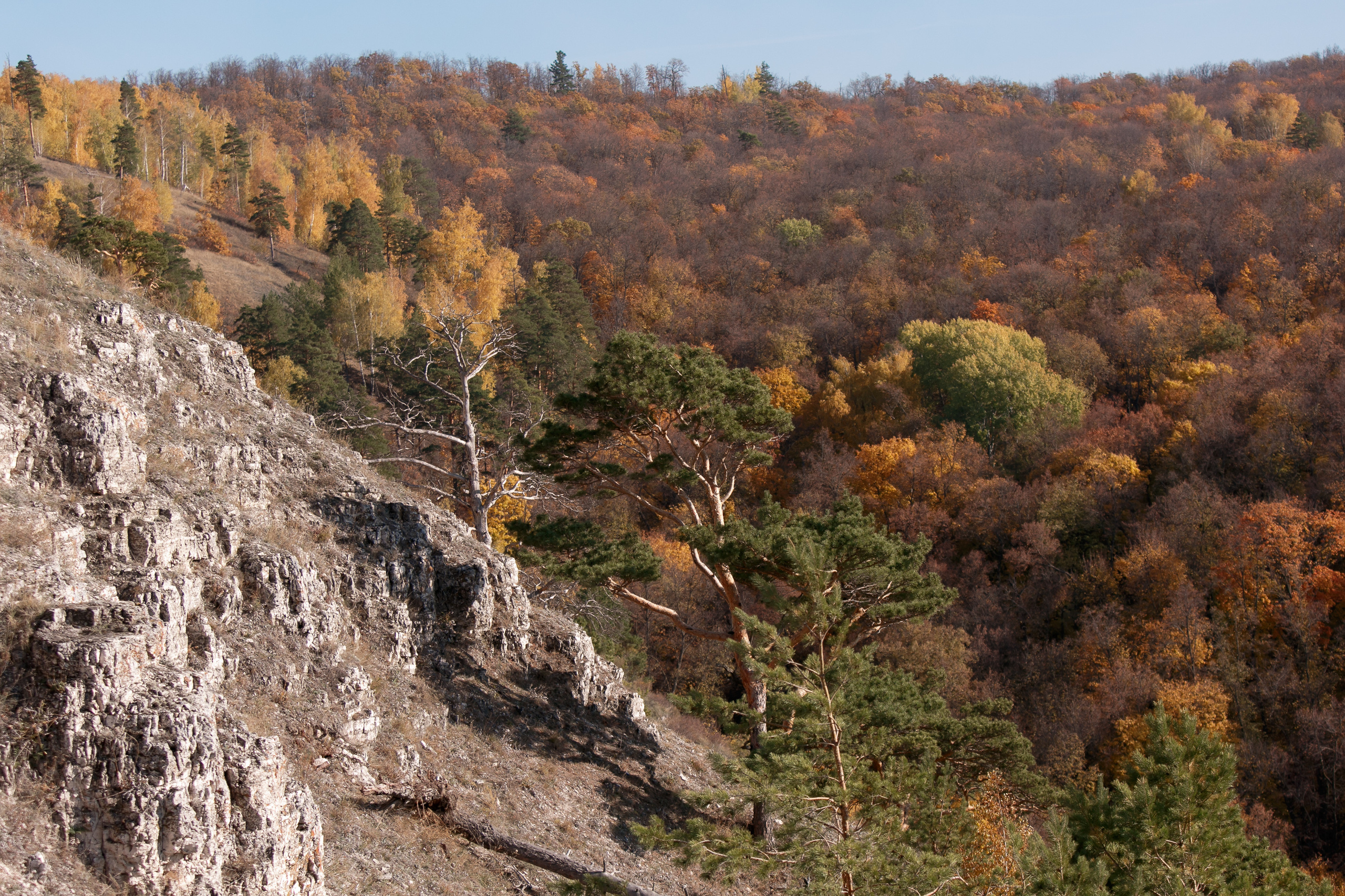 Петров камень. Свадебный, семейный и школьный фотограф в Сызрани Максим Баталов