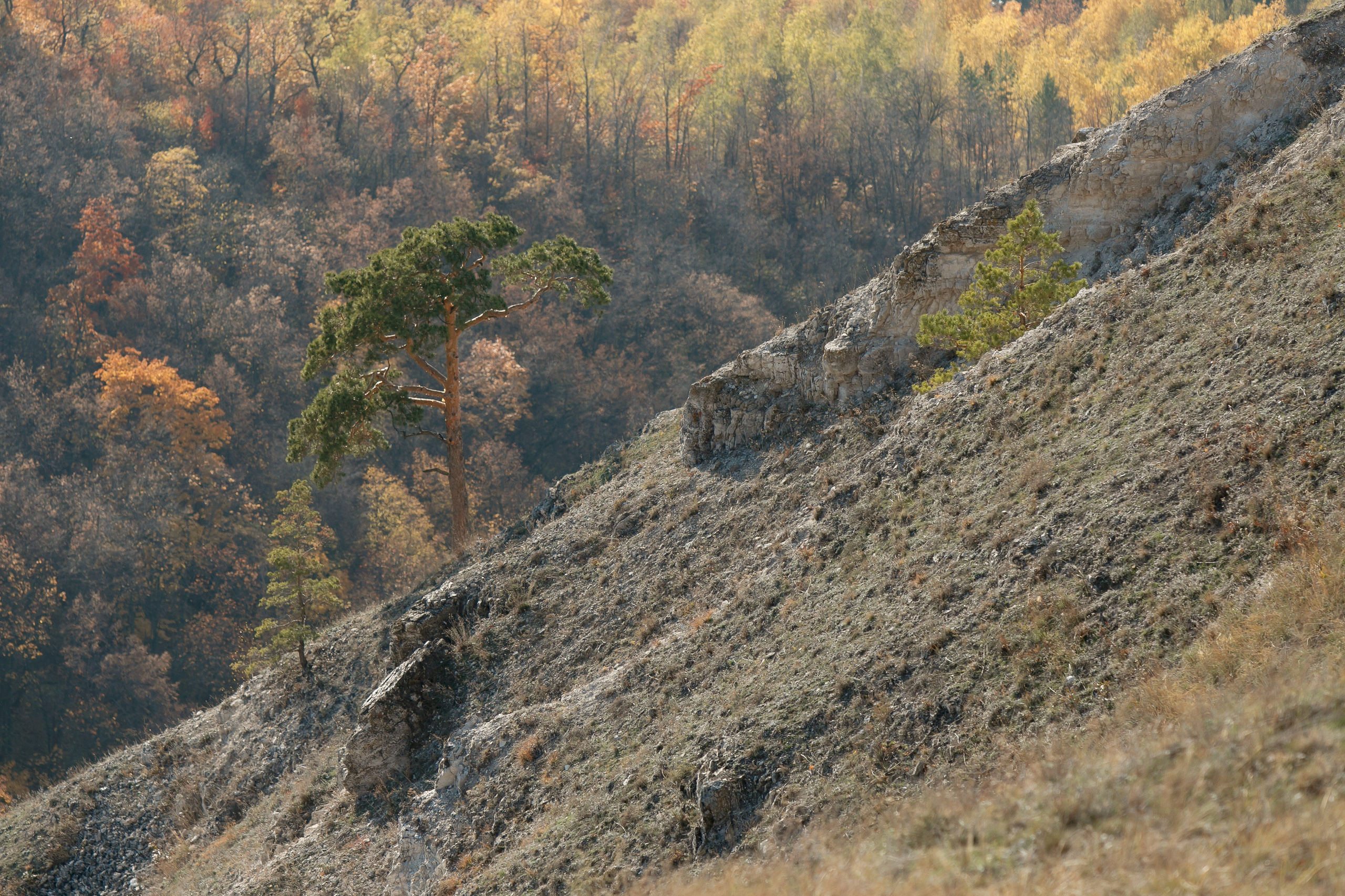 Петров камень. Свадебный, семейный и школьный фотограф в Сызрани Максим Баталов