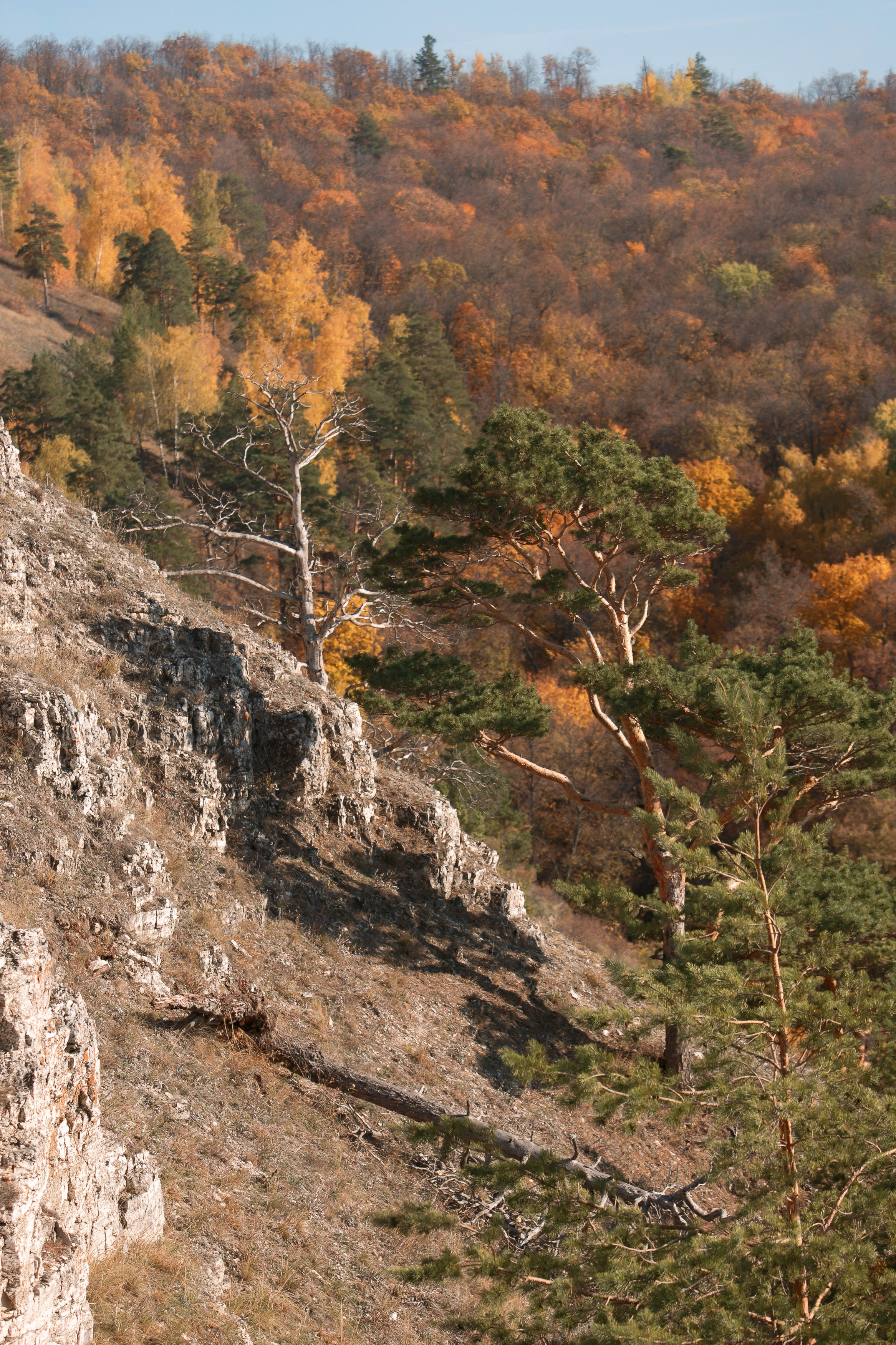 Петров камень. Свадебный, семейный и школьный фотограф в Сызрани Максим Баталов