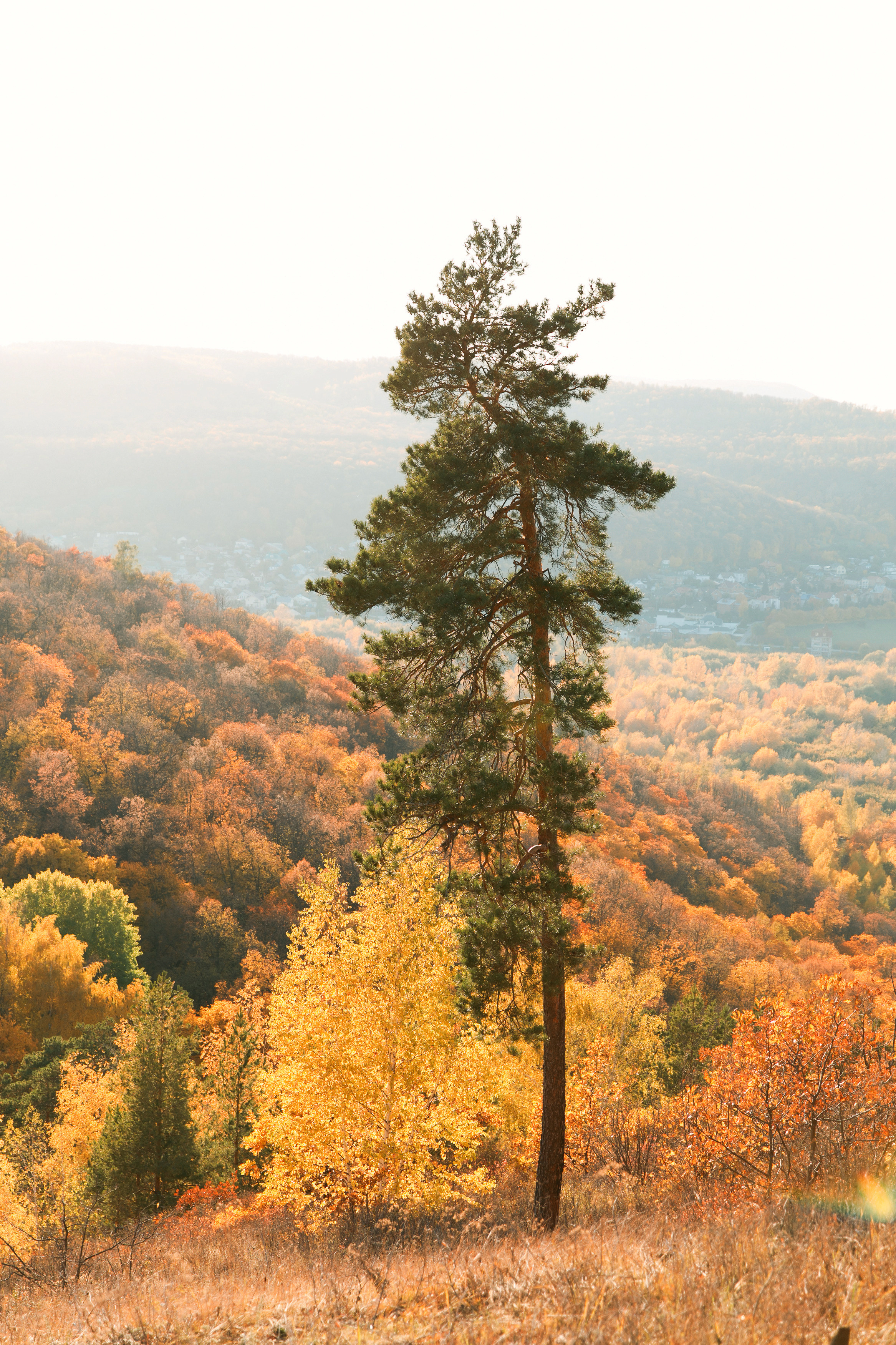 Петров камень. Свадебный, семейный и школьный фотограф в Сызрани Максим Баталов
