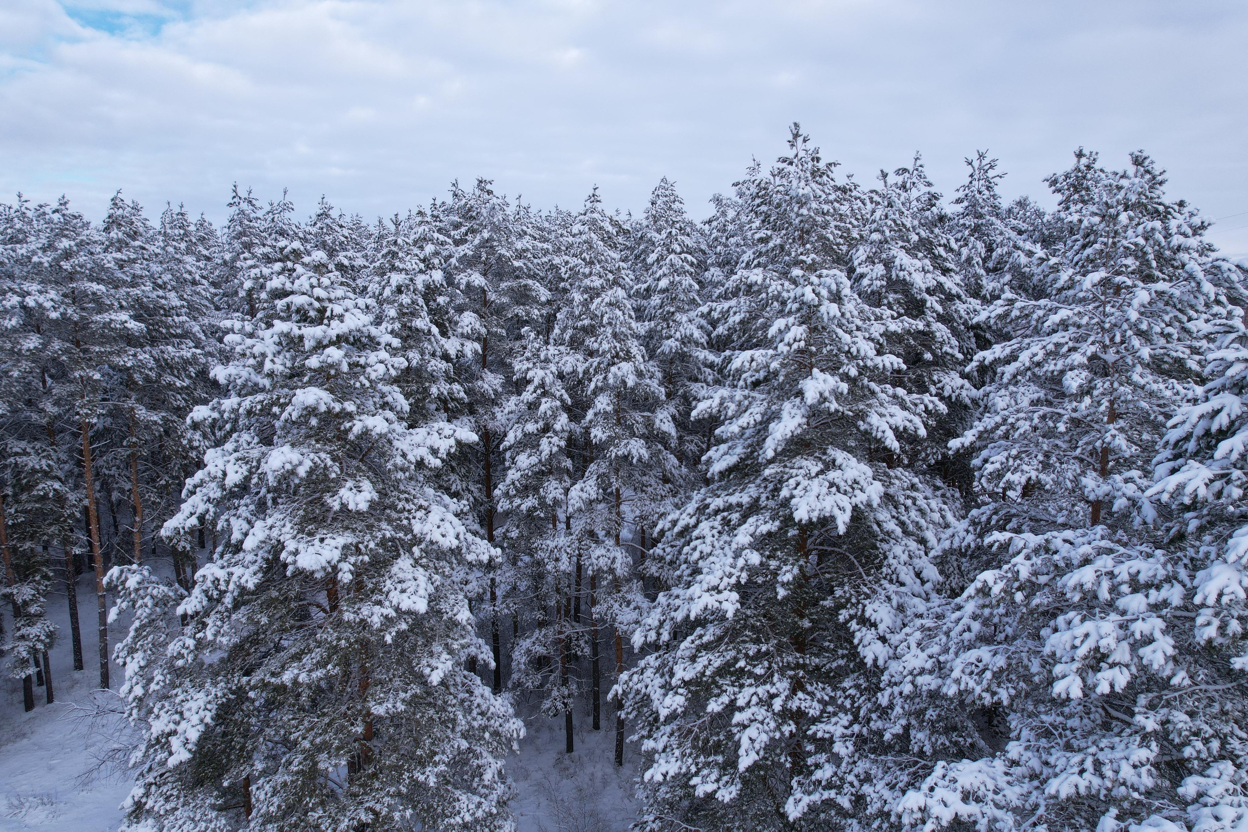 Город Сызрань. Свадебный, семейный и школьный фотограф в Сызрани Максим Баталов
