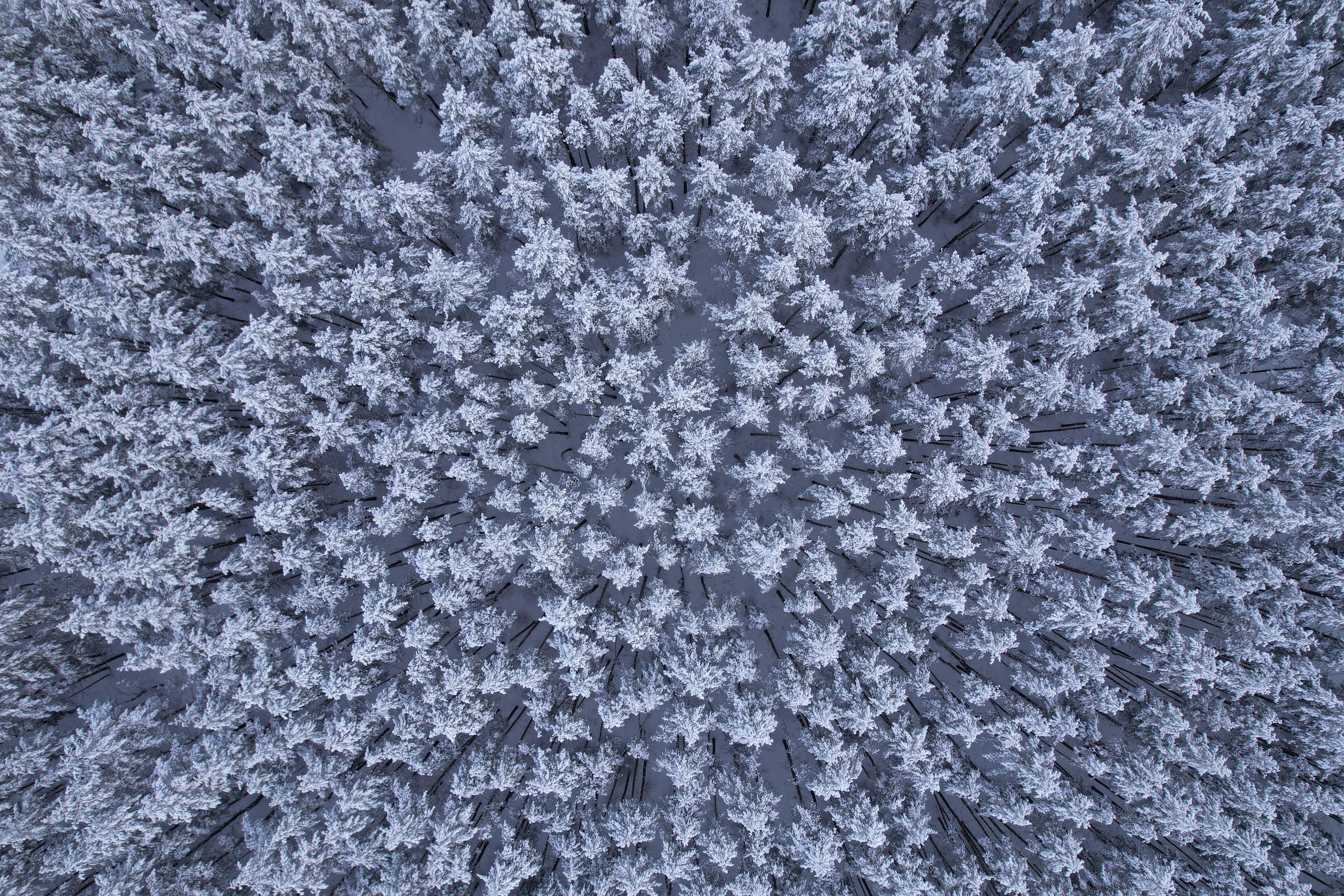 Город Сызрань. Свадебный, семейный и школьный фотограф в Сызрани Максим Баталов