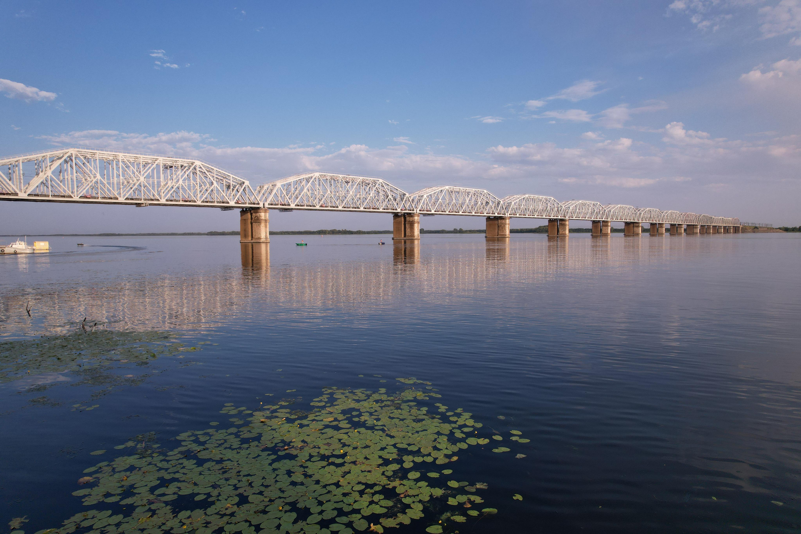 Октябрьск. Свадебный, семейный и школьный фотограф в Сызрани Максим Баталов
