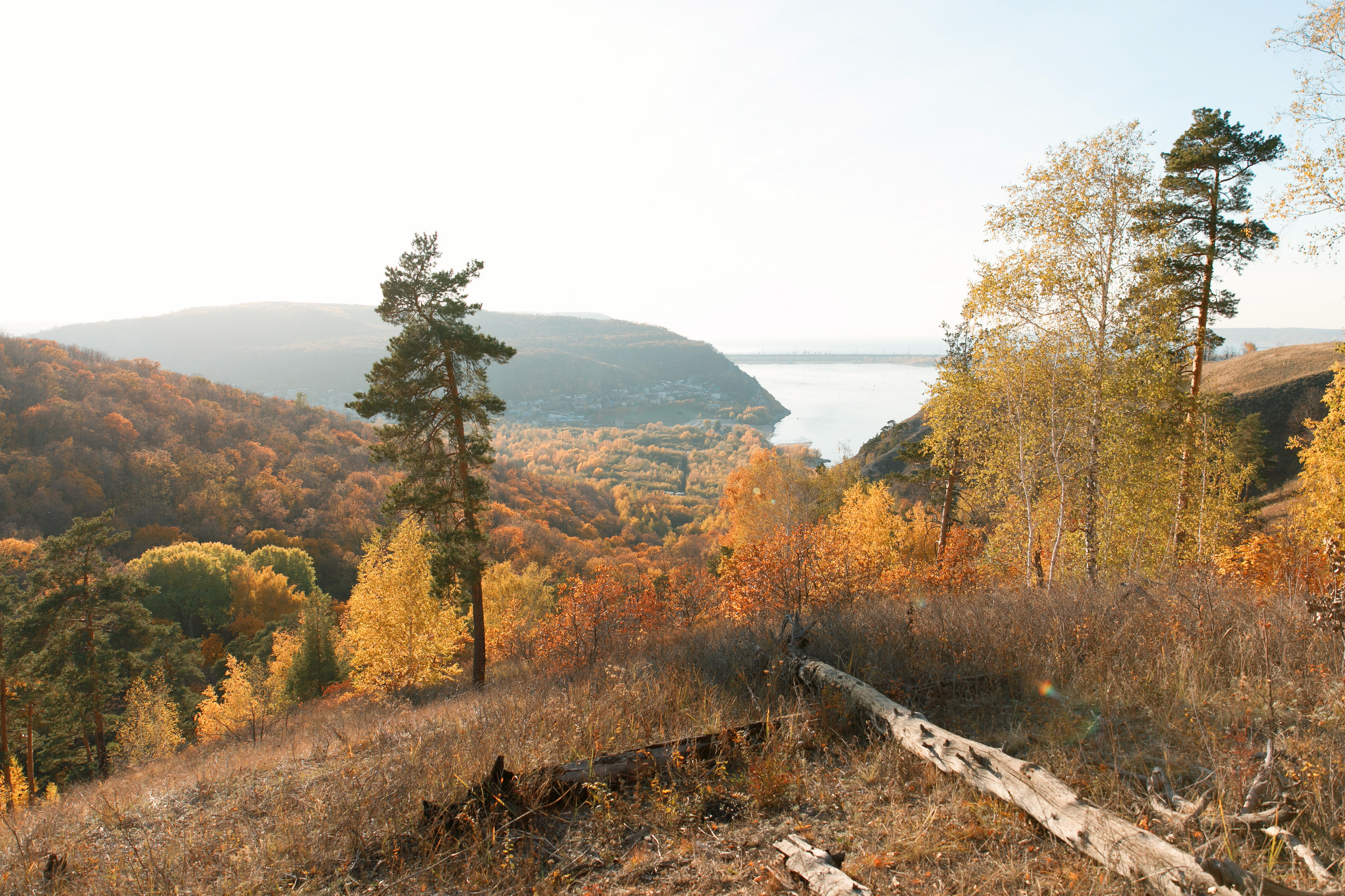 Петров камень. Свадебный, семейный и школьный фотограф в Сызрани Максим Баталов
