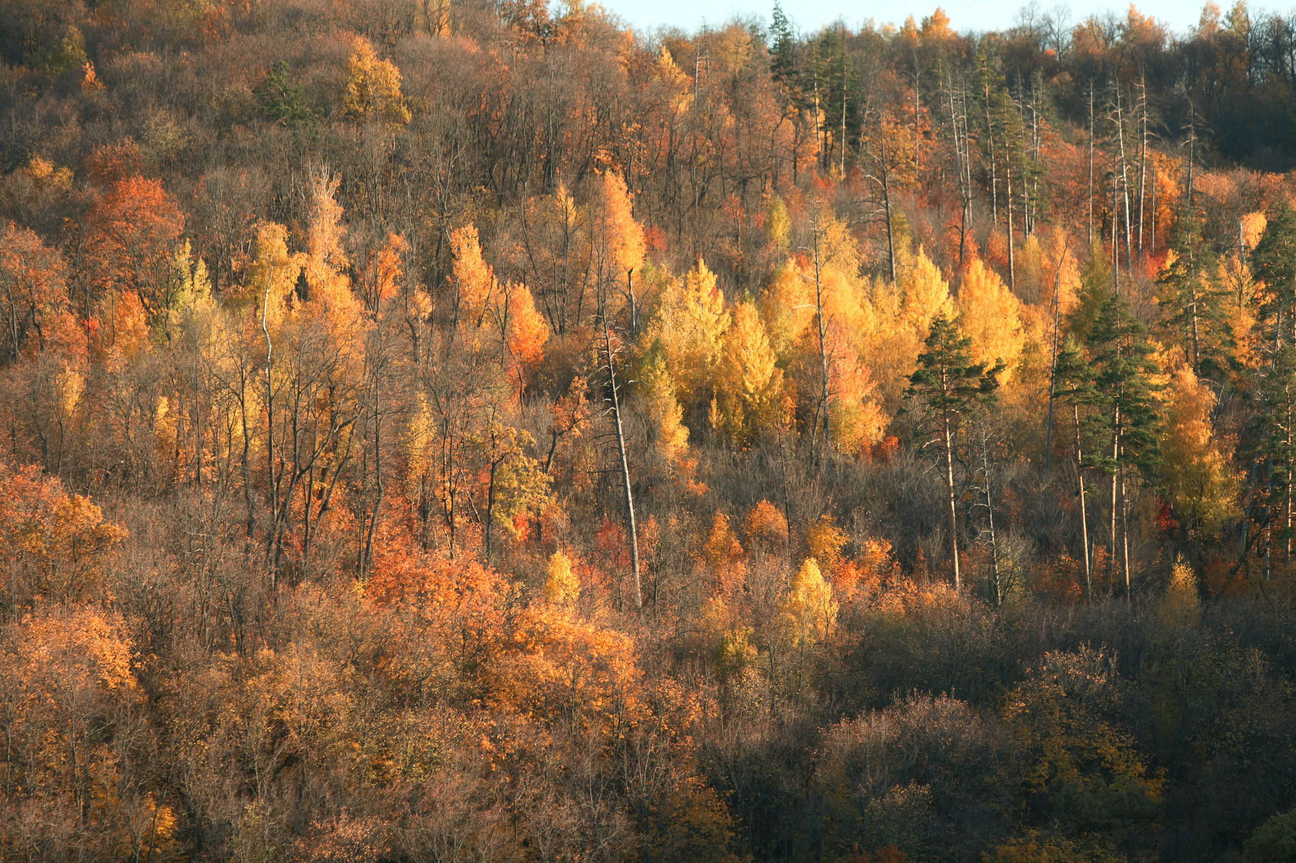 Петров камень. Свадебный, семейный и школьный фотограф в Сызрани Максим Баталов