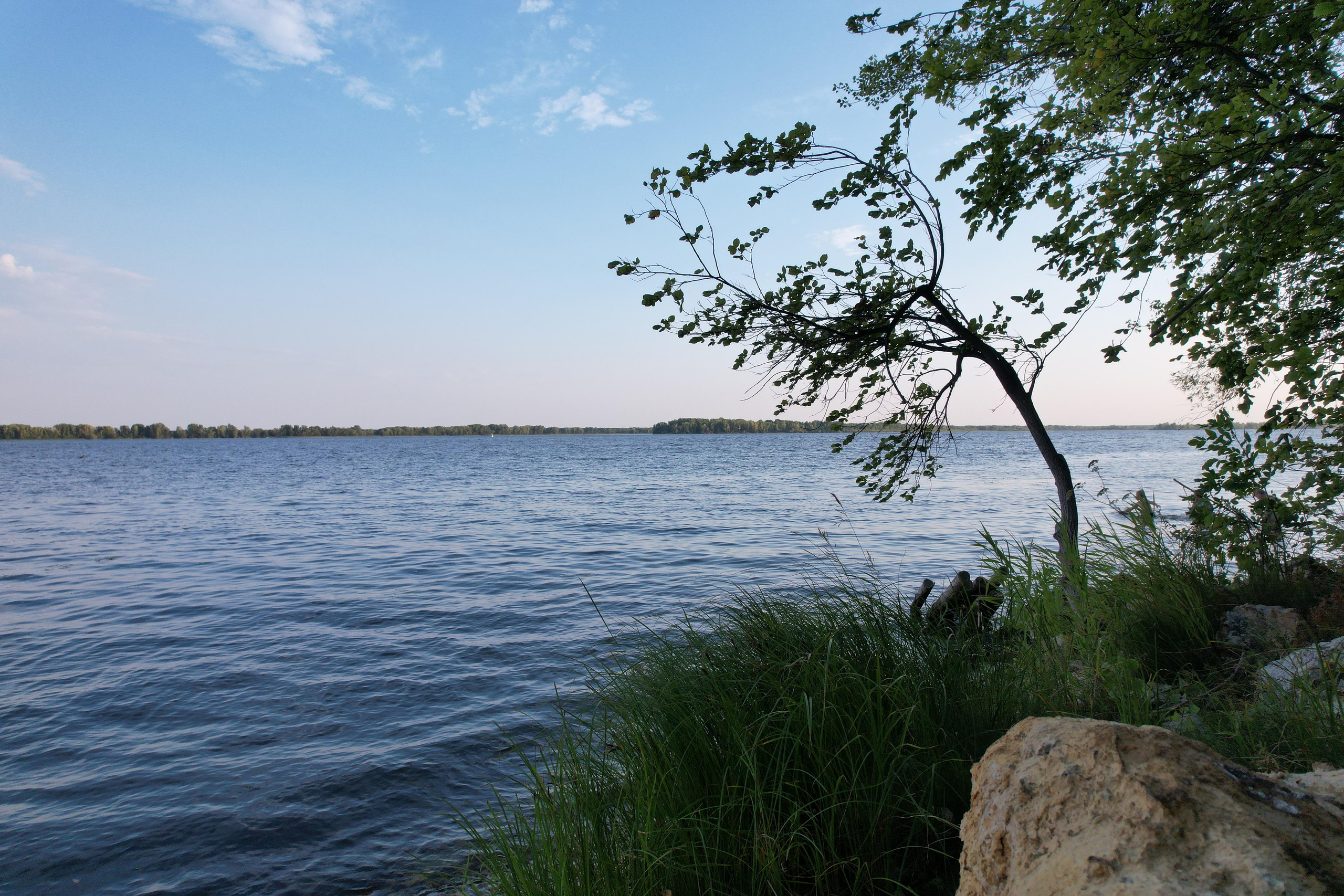 Октябрьск. Свадебный, семейный и школьный фотограф в Сызрани Максим Баталов