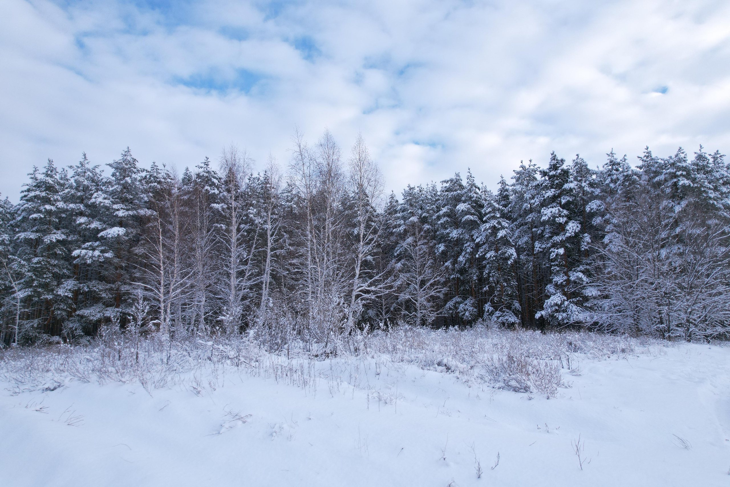 Город Сызрань. Свадебный, семейный и школьный фотограф в Сызрани Максим Баталов