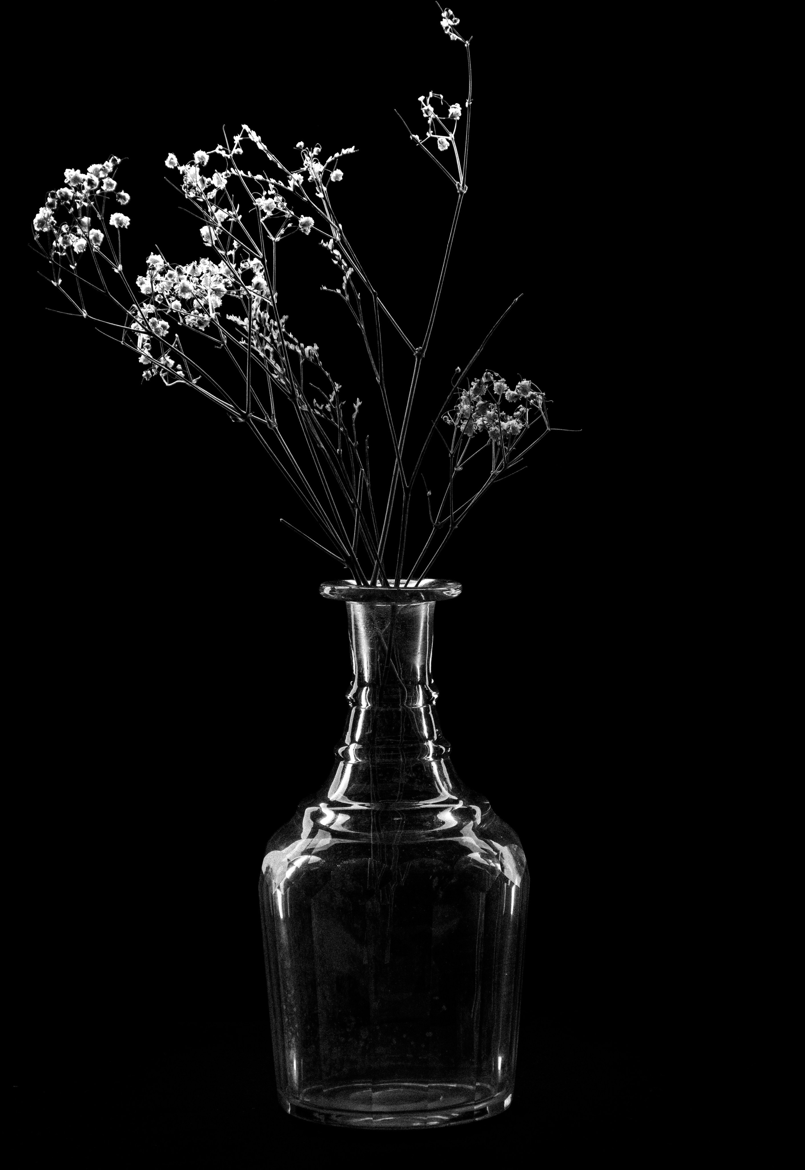 Натюрморты. Фотограф и оператор в Москве Елизавета Коргалидзе