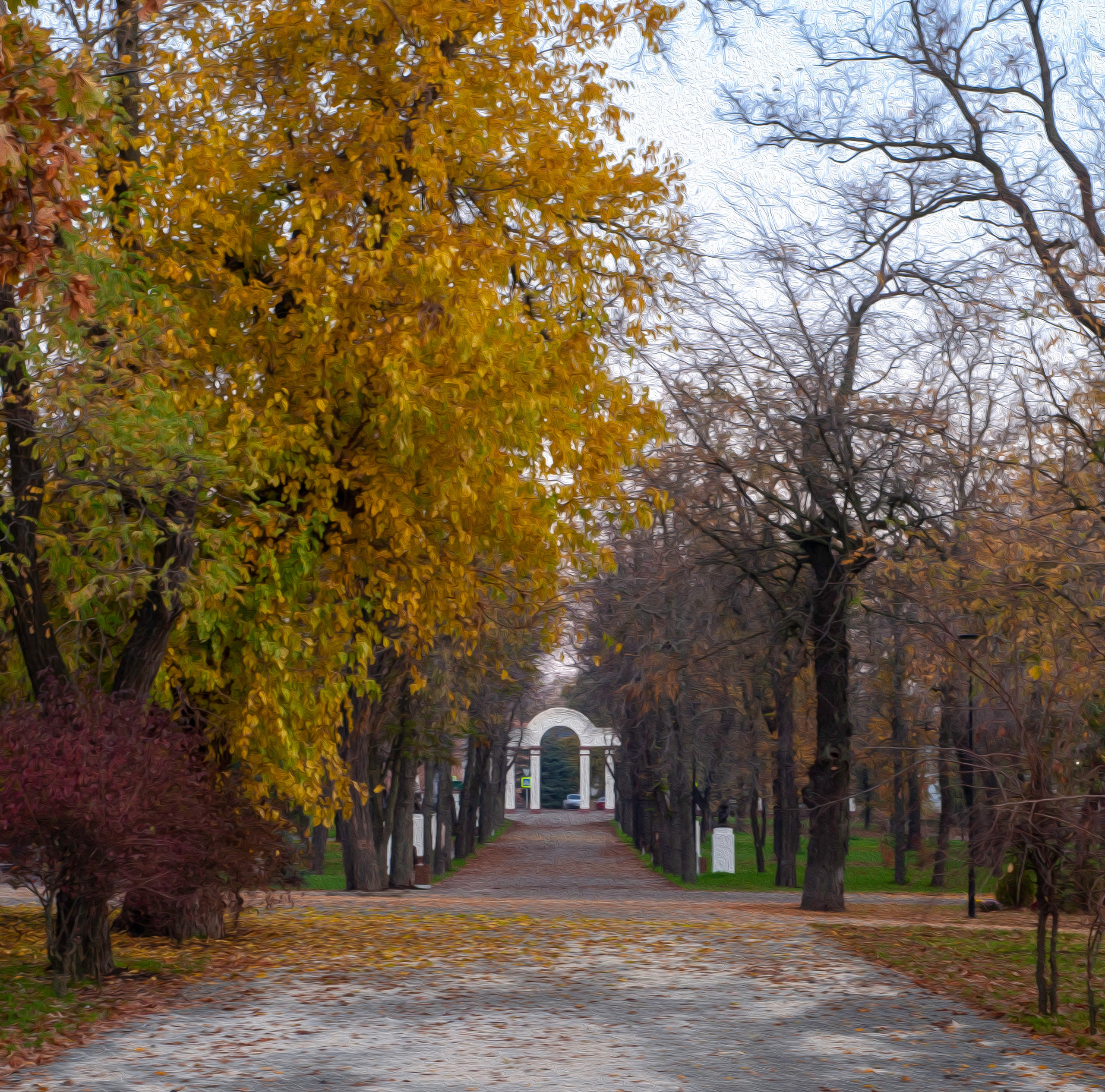 Разное. Фотограф Анатолий Гущин