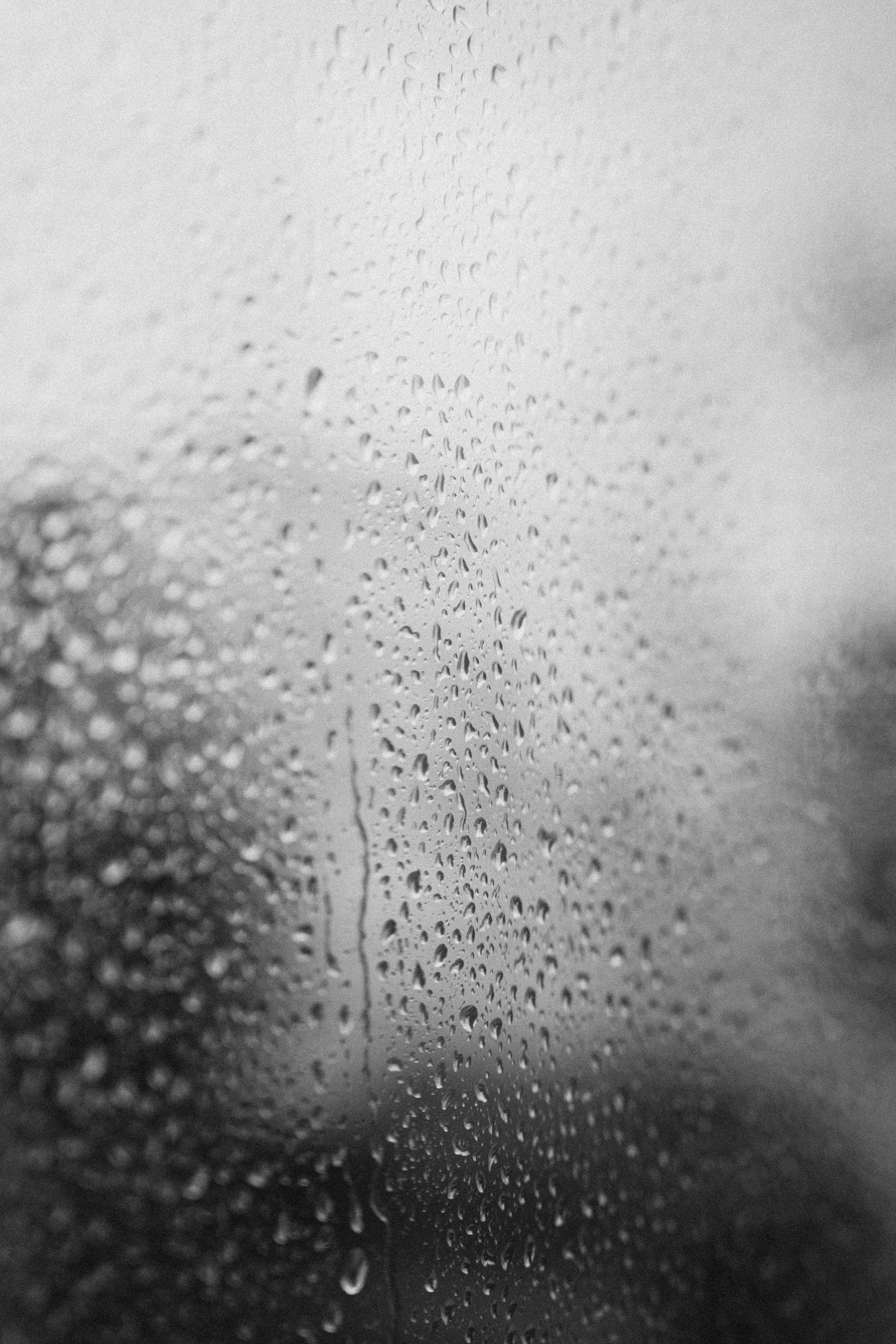 Счастливый и дождливый. Свадебный фотограф в Калуге Алексей Климов