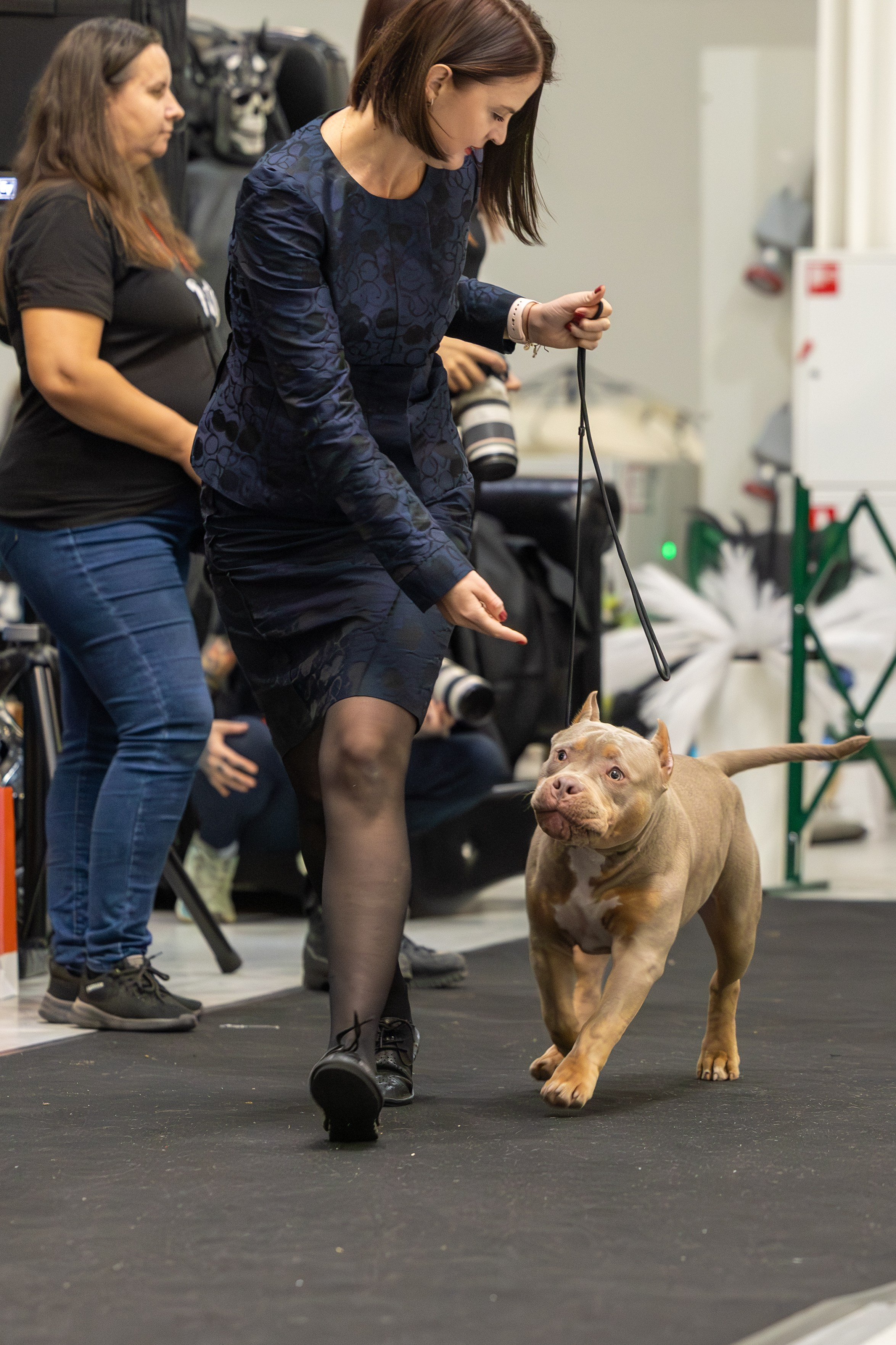 АВКС. Виктория Михайловская. Фотограф-анималист. Москва