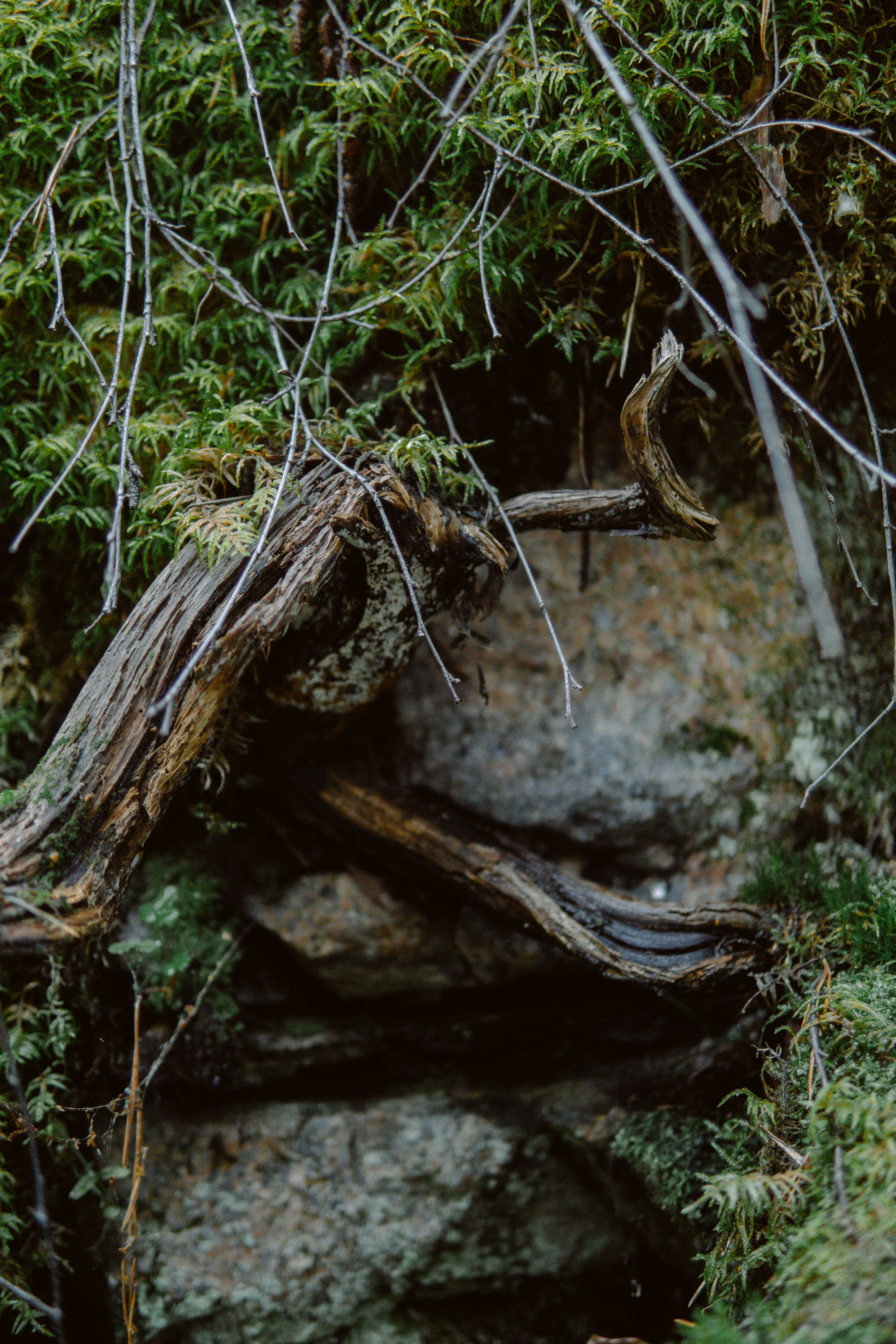 EXHIBITION. Репортажный и интерьерный фотограф, фотохудожник