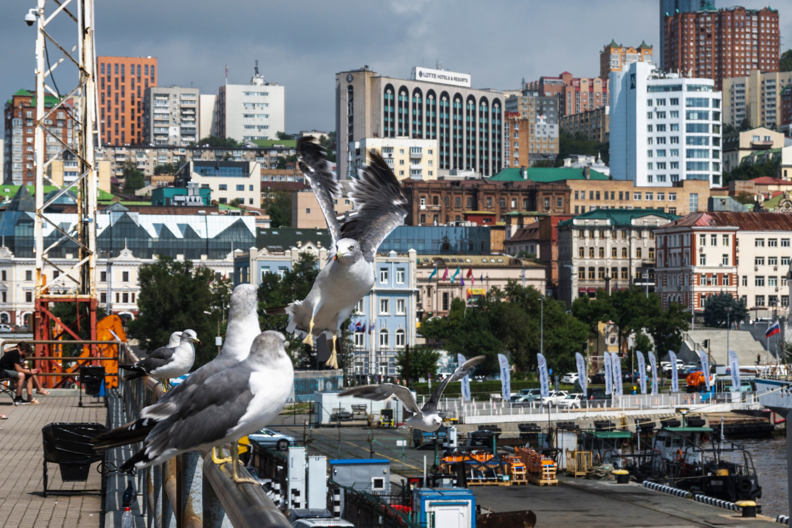 Владивосток. Сентябрь 2023. Фотограф Роман Адлер