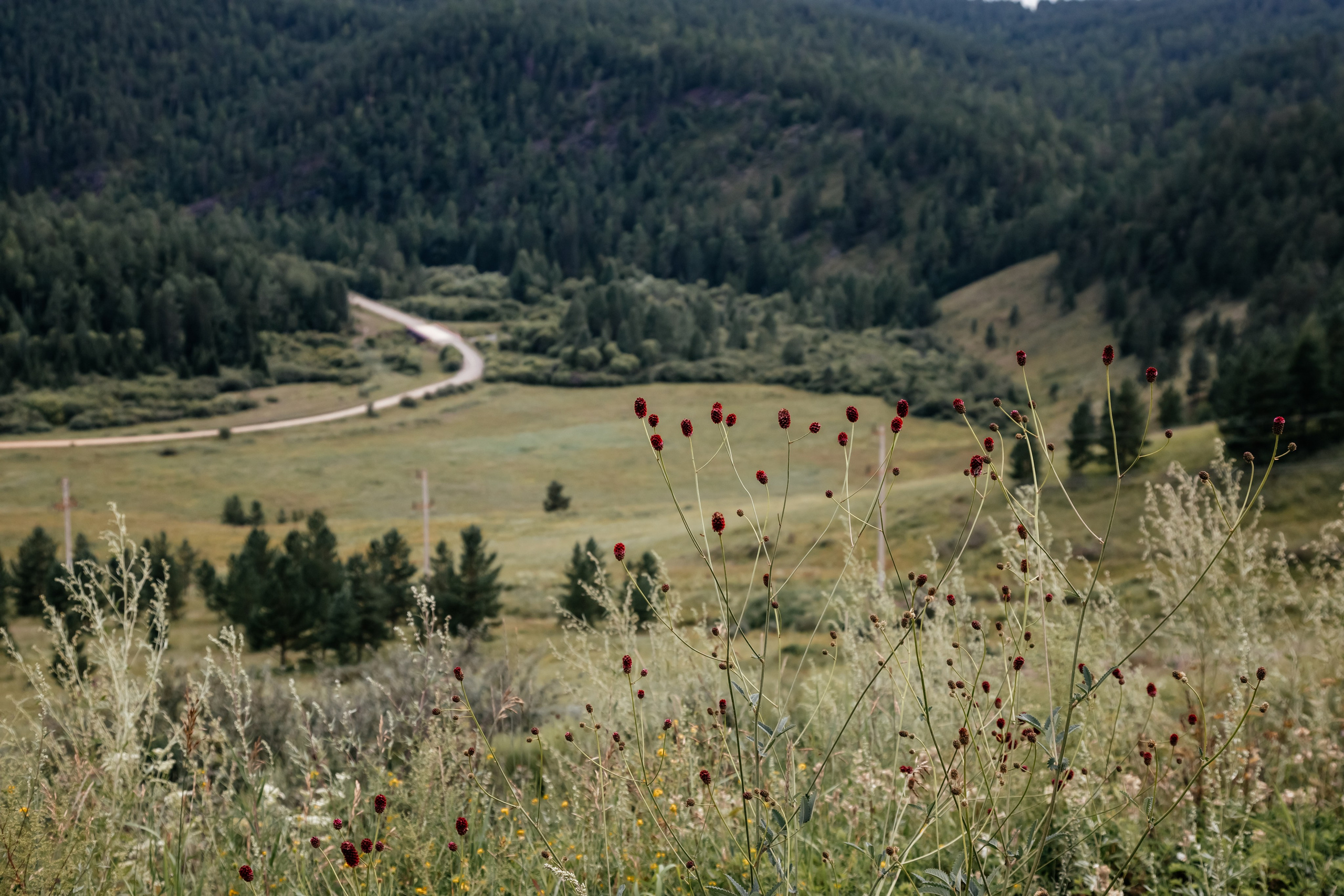 Байкал. Фотограф в Красноярске Оксана Корчагина
