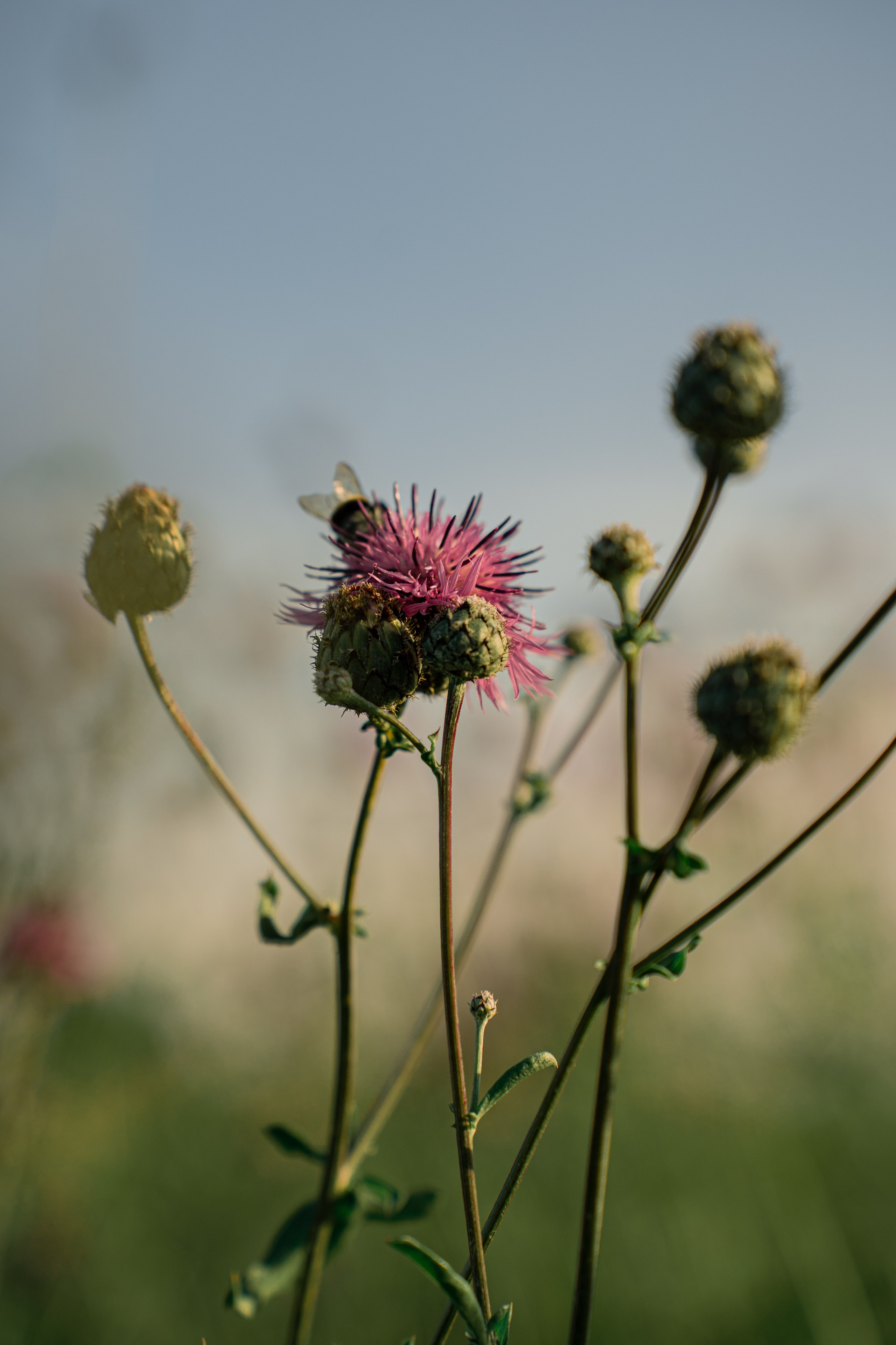 ATMOSPHERE. Фотограф Юрина Ксения Москва