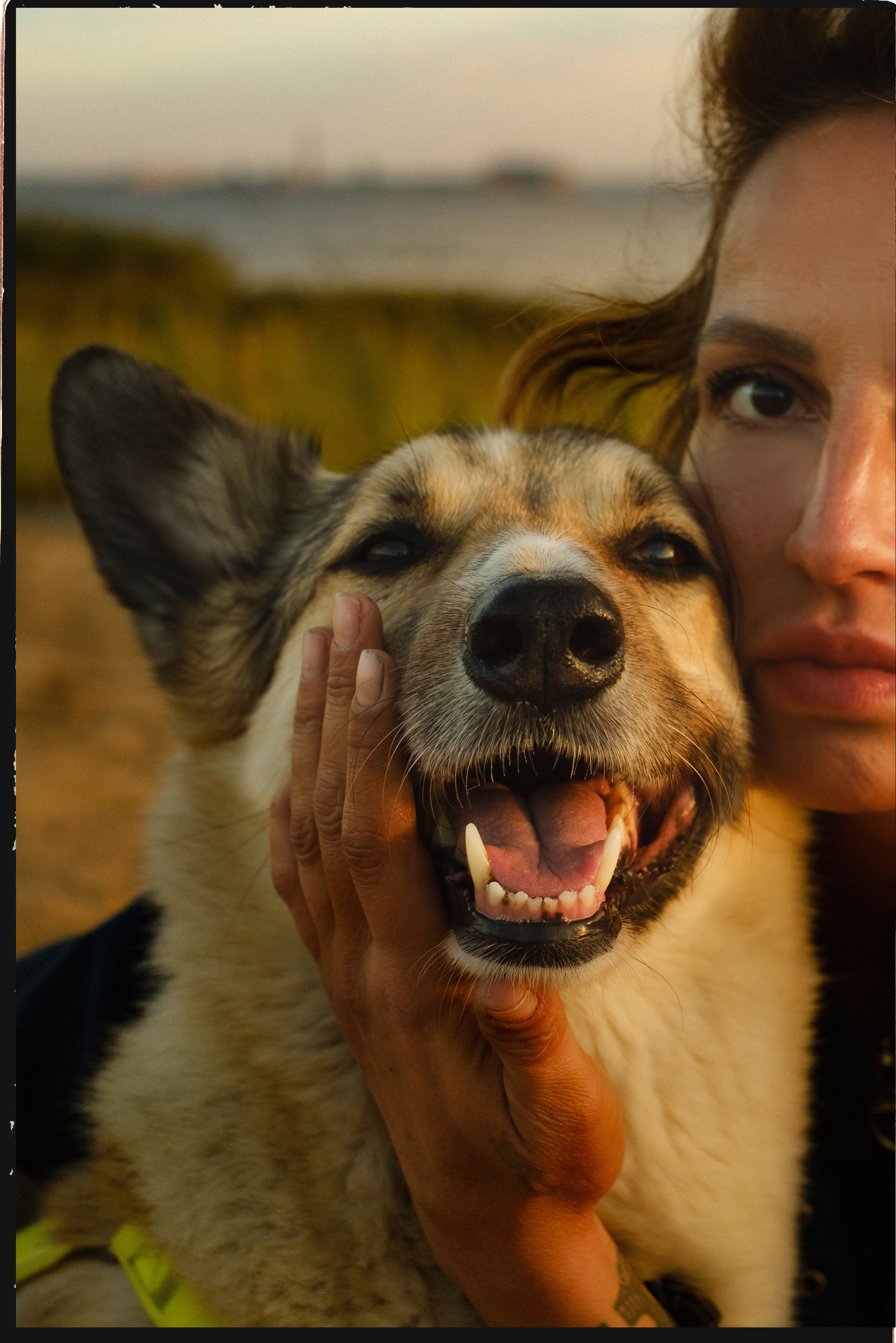 ФОТО. Фотохудожник и видеограф в Петербурге Валерия Кондаурова