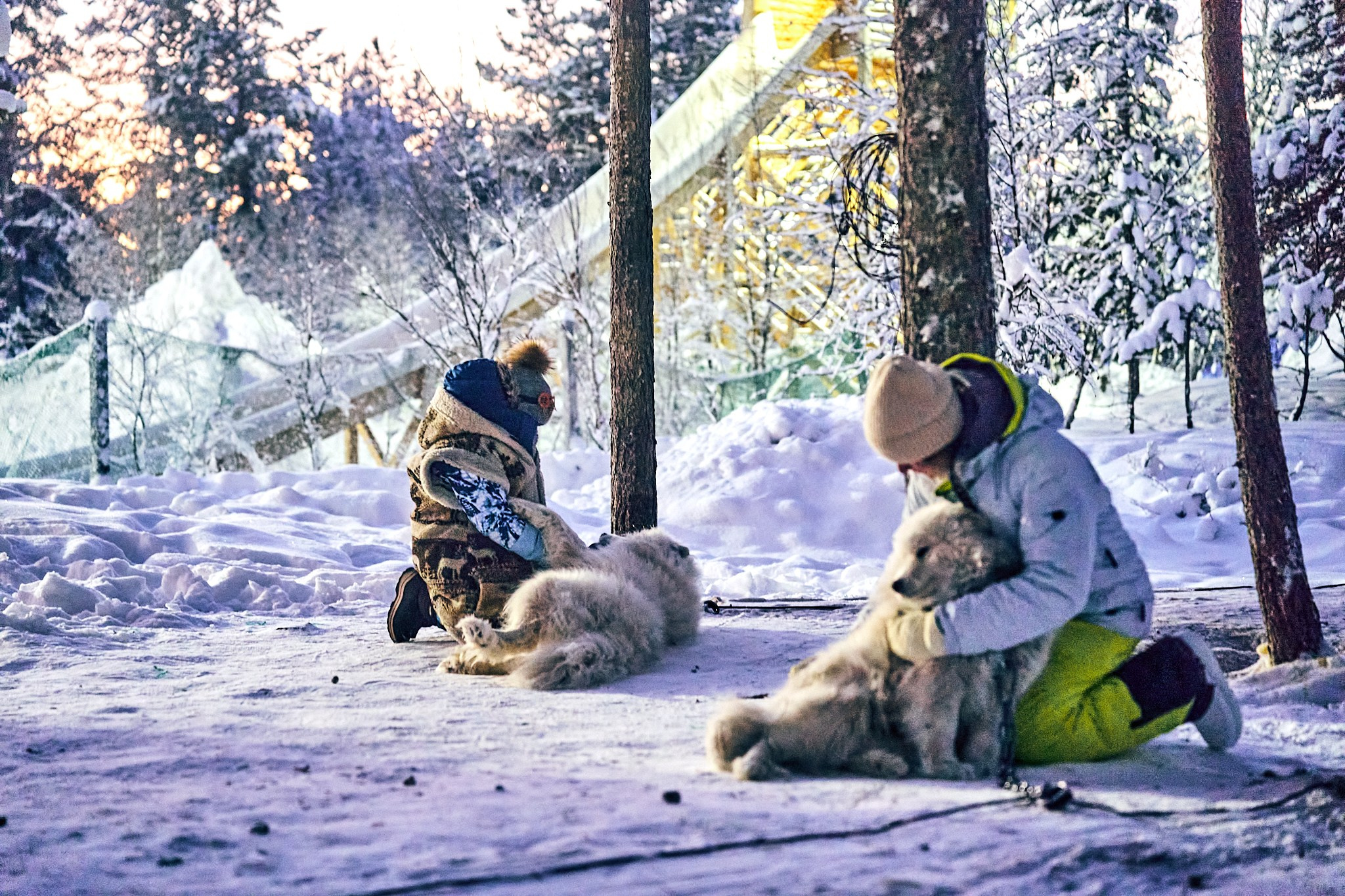 Путешествие В Арктику в 2024 году. Внедорожные путешествия — OFFROADTRIP