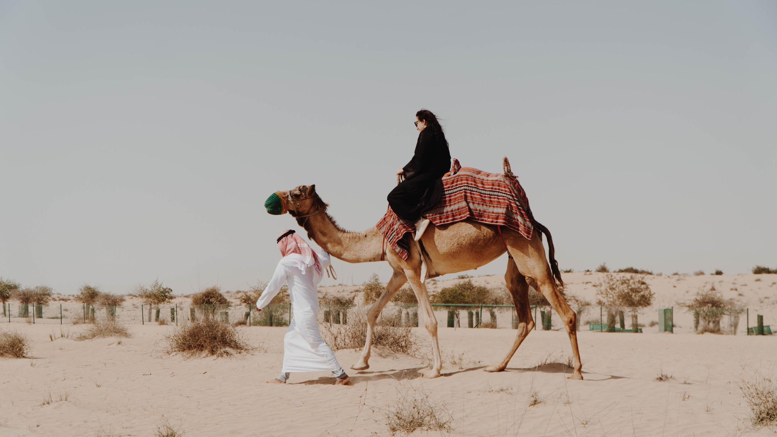Фотограф Видеограф Самуи, Панган