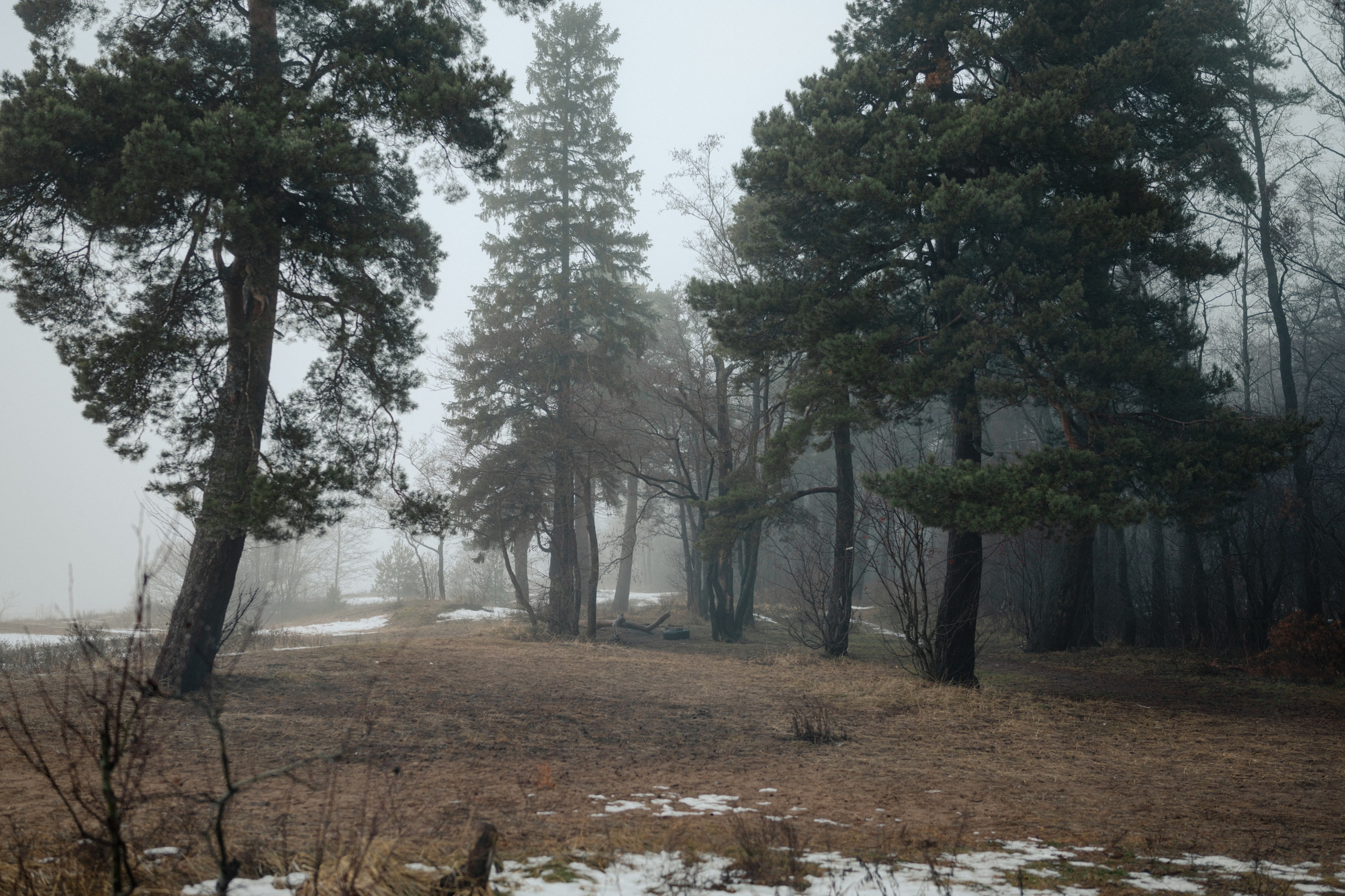 Случайное — неслучайное. Фотограф Ника Лиепа