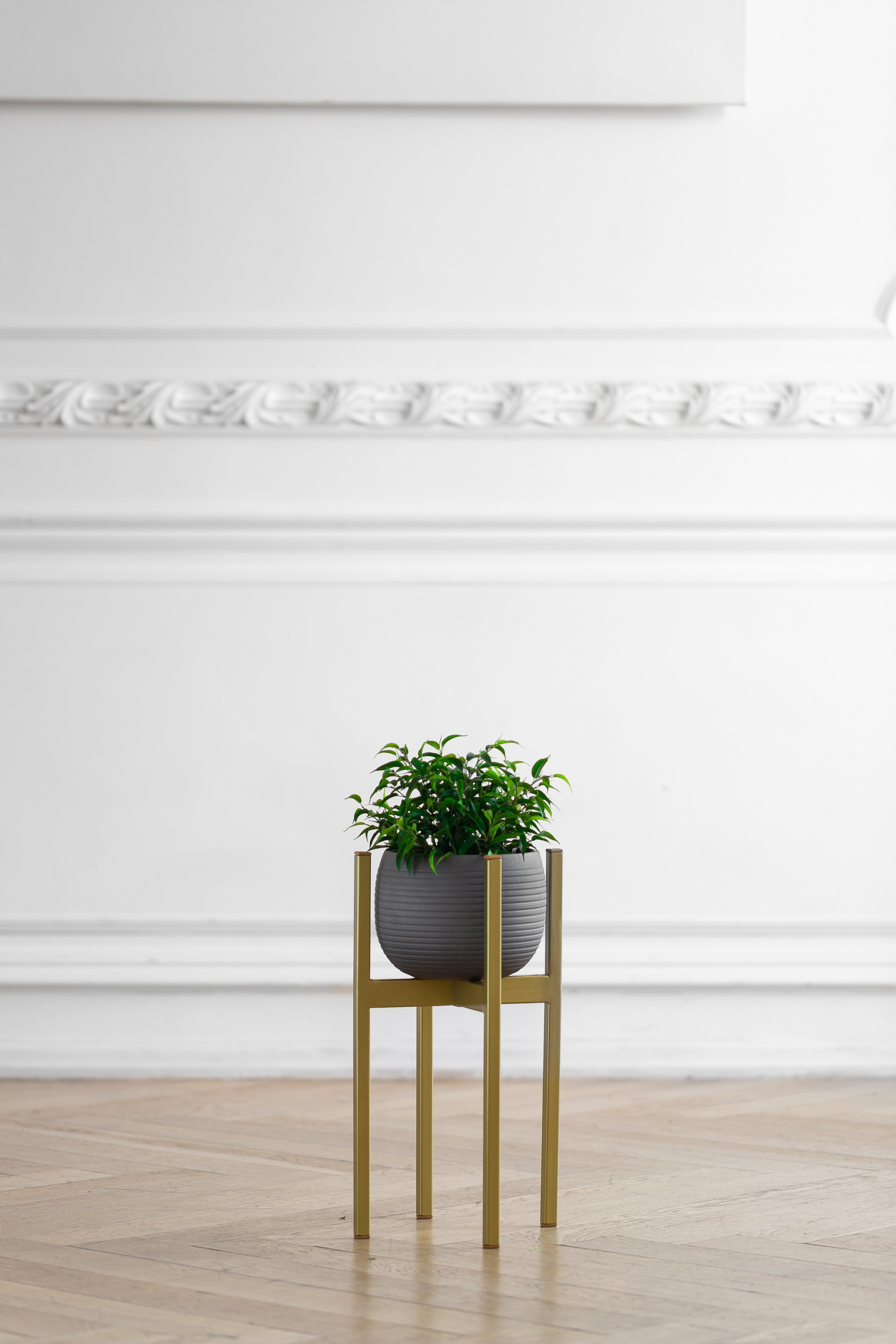 GREENWEEN. Дизайнерская мебель. Интерьерный фотограф и видеограф в Санкт-Петербурге Вадим Балбашевский