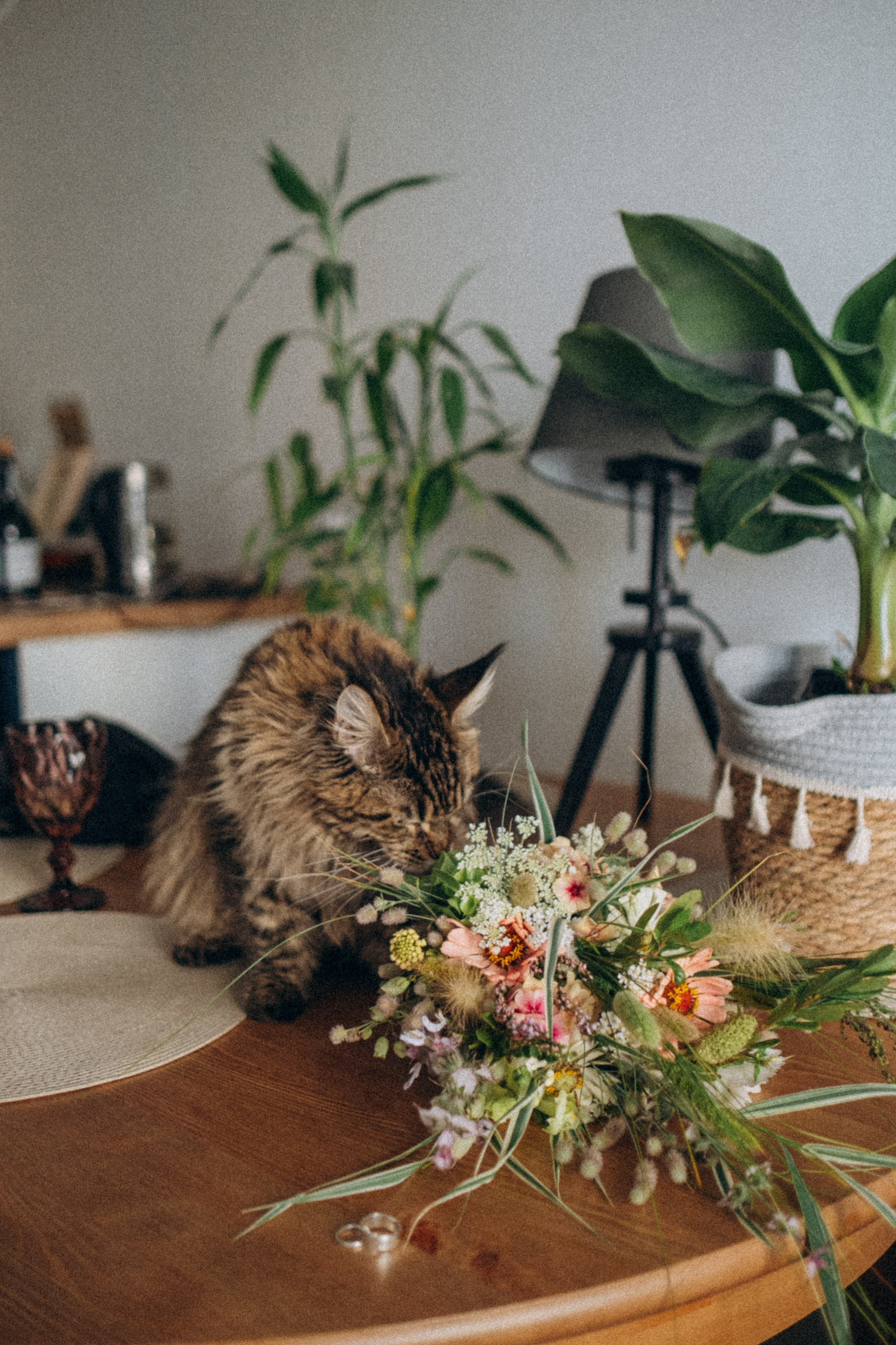 Екатерина Архипова фотограф в Санкт-Петербурге