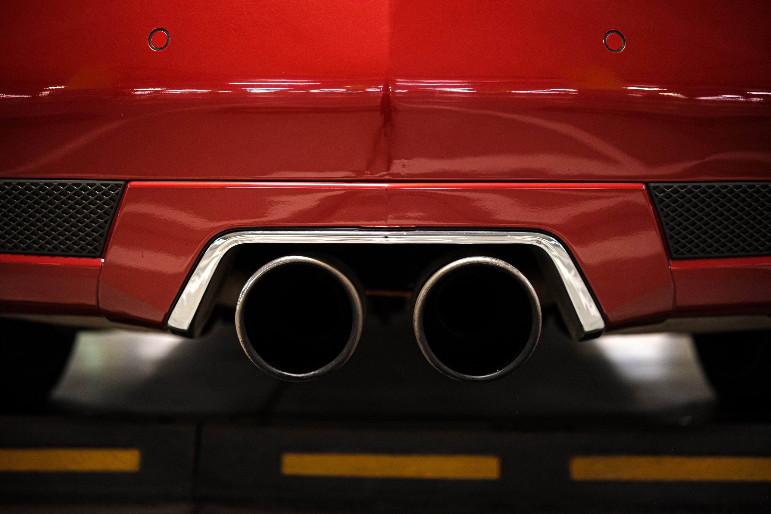 Кэдди. Алексей Никифоров фотограф Москва, Химки