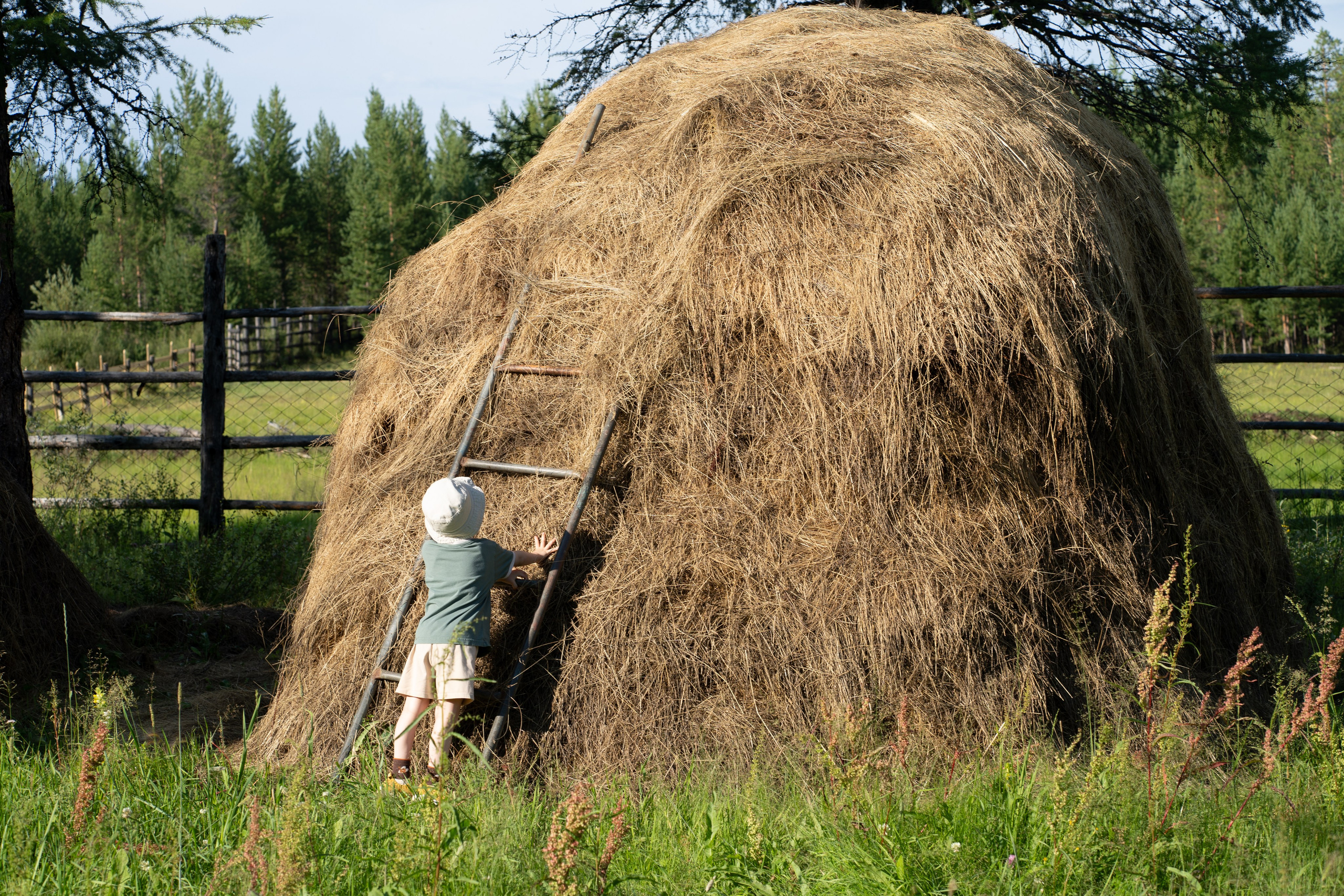 Прогулка. Алена Коломоец | Фотограф, Мирный, Якутия