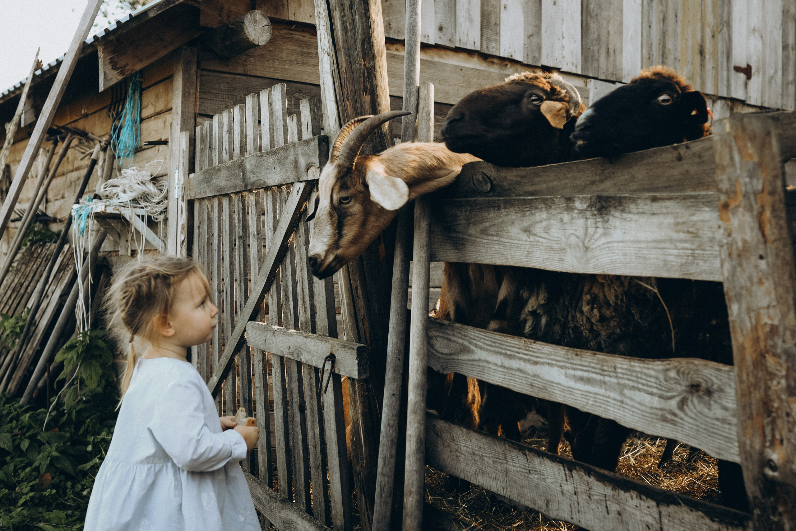 Семейный лайф. Фотограф Чучалина Елена