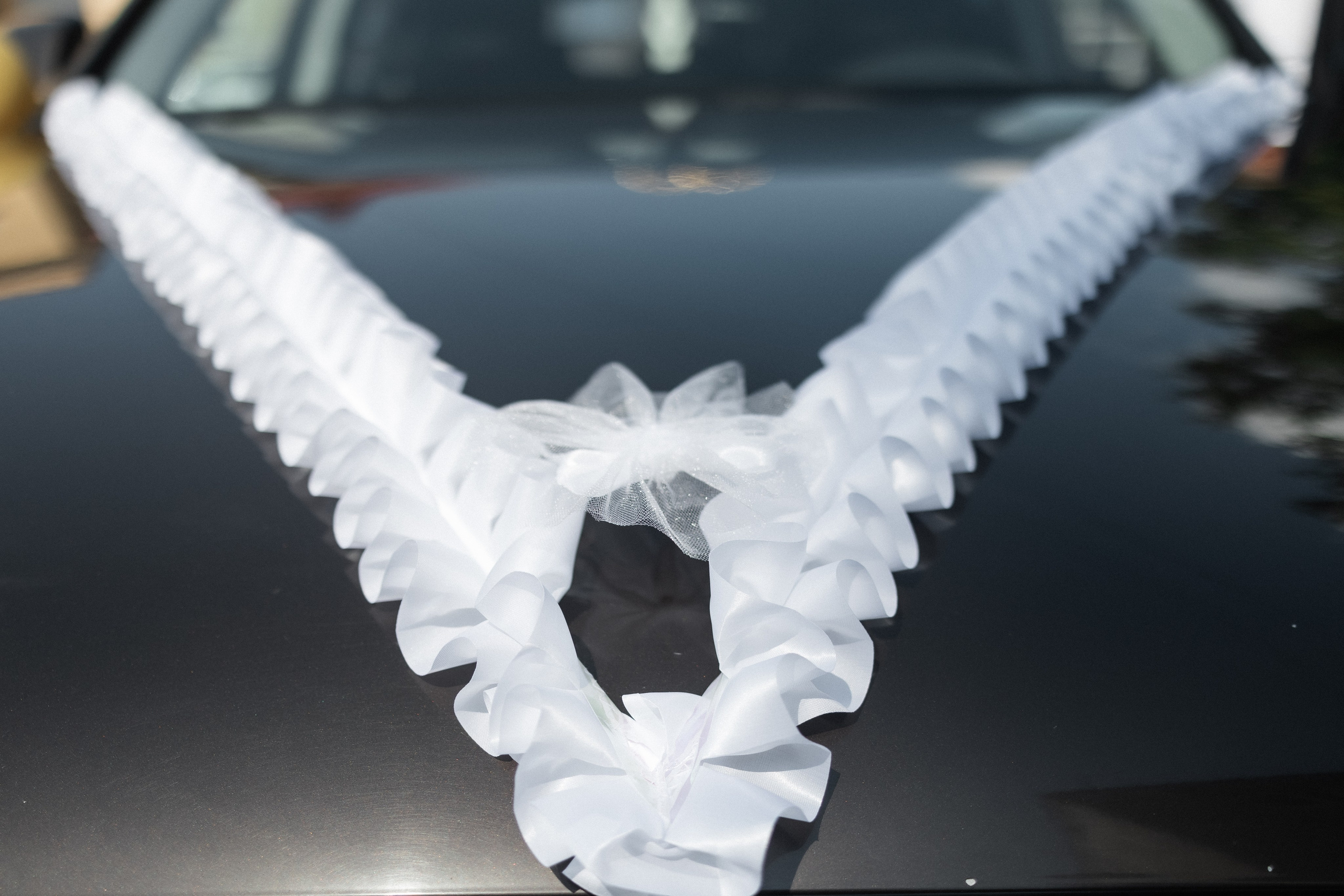 Соня и Даня. Свадебный и семейный фотограф в г. Волхов Алексей Кочерыжкин