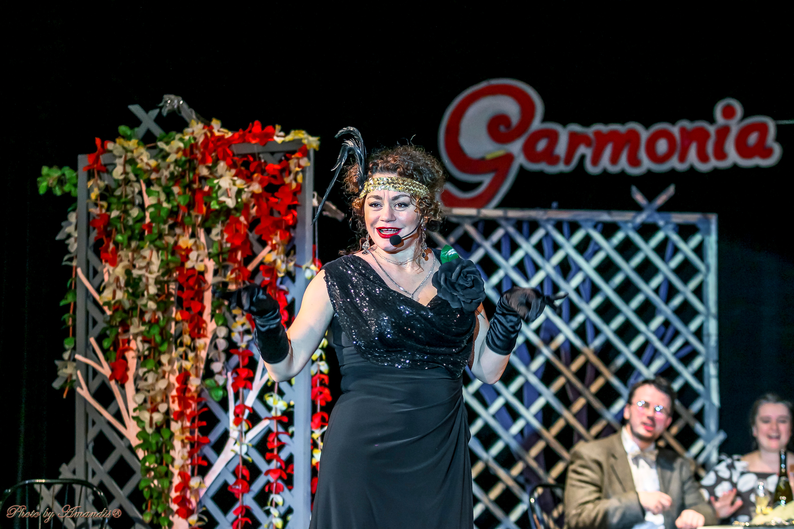 Спектакль «Hello, Dolly». ДК «Стимул» Москва. Репортажная съемка в Москве и области. Анималистика