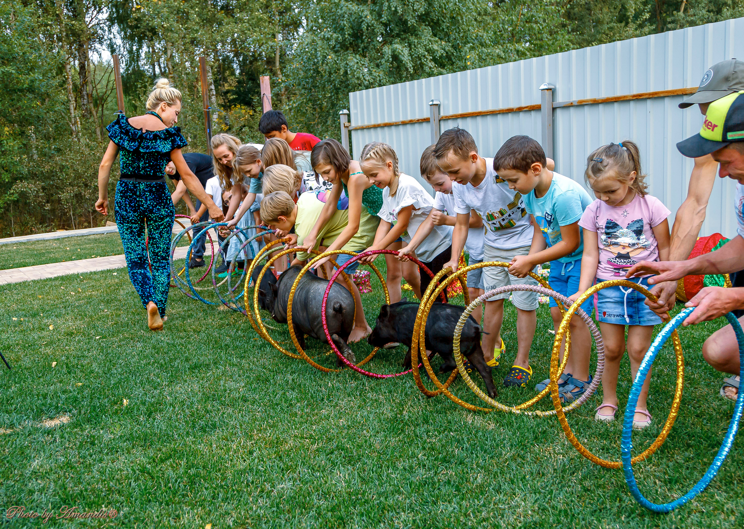 Репортажная съемка в Москве и области. Анималистика