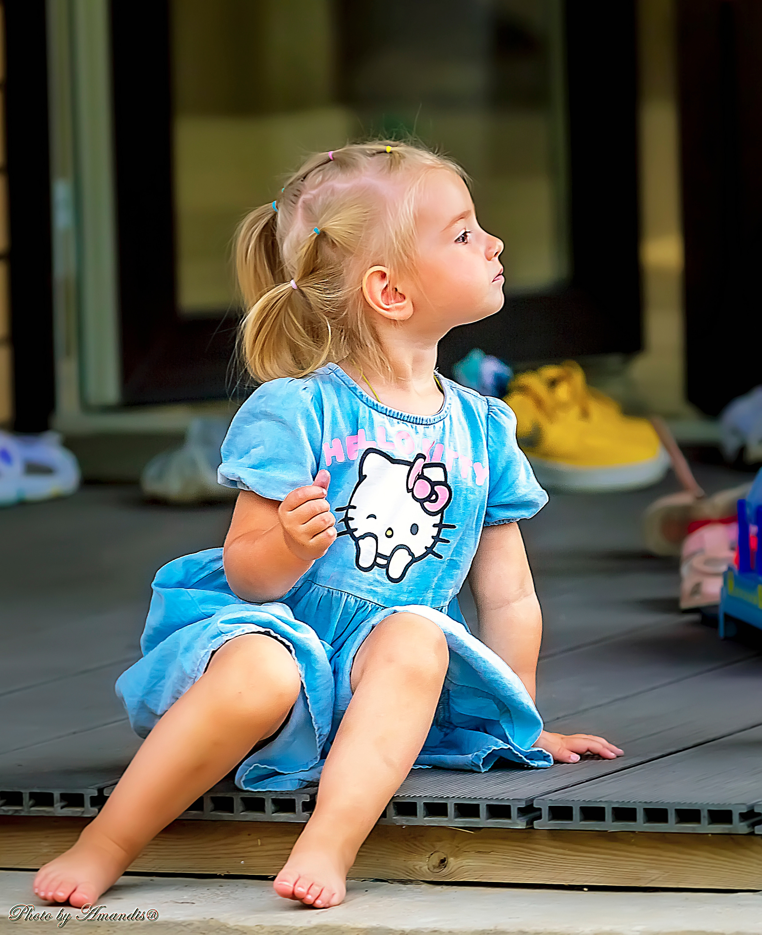 Репортажная съемка в Москве и области. Анималистика