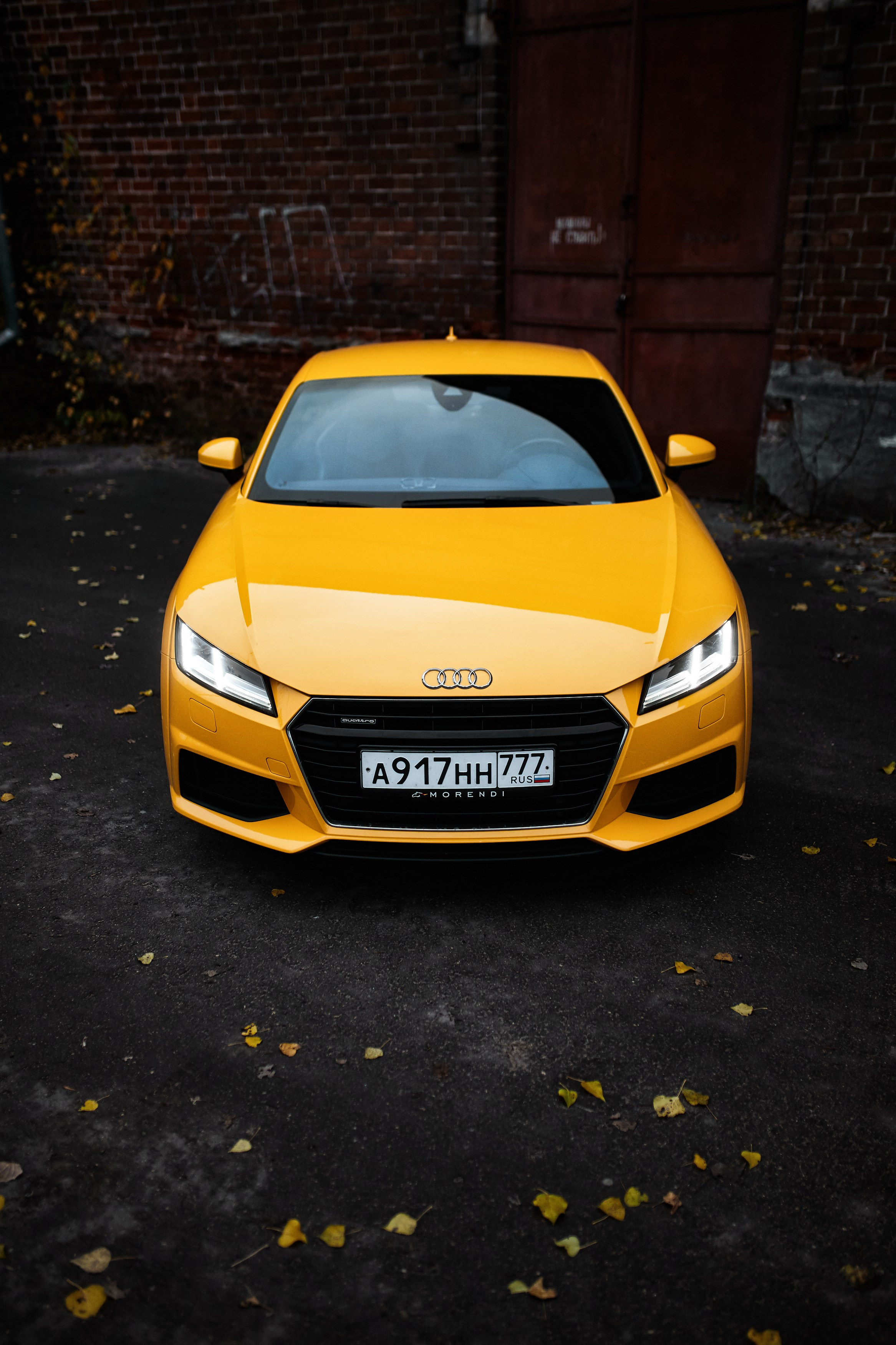 Audi TT. DKARPOCHEVA PHOTOGRAPHY