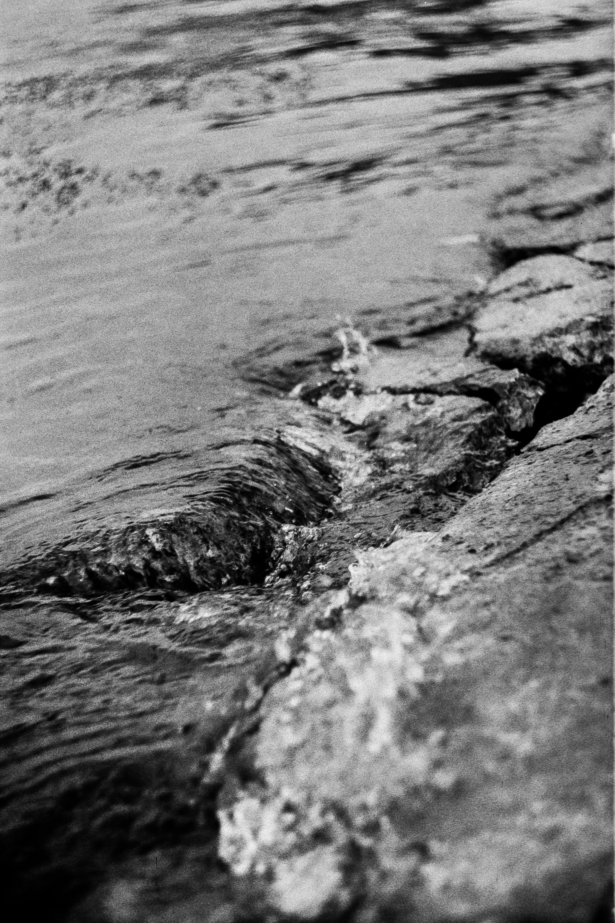 Пленочная история. Дмитрий Пропадалин, Нейрофотография