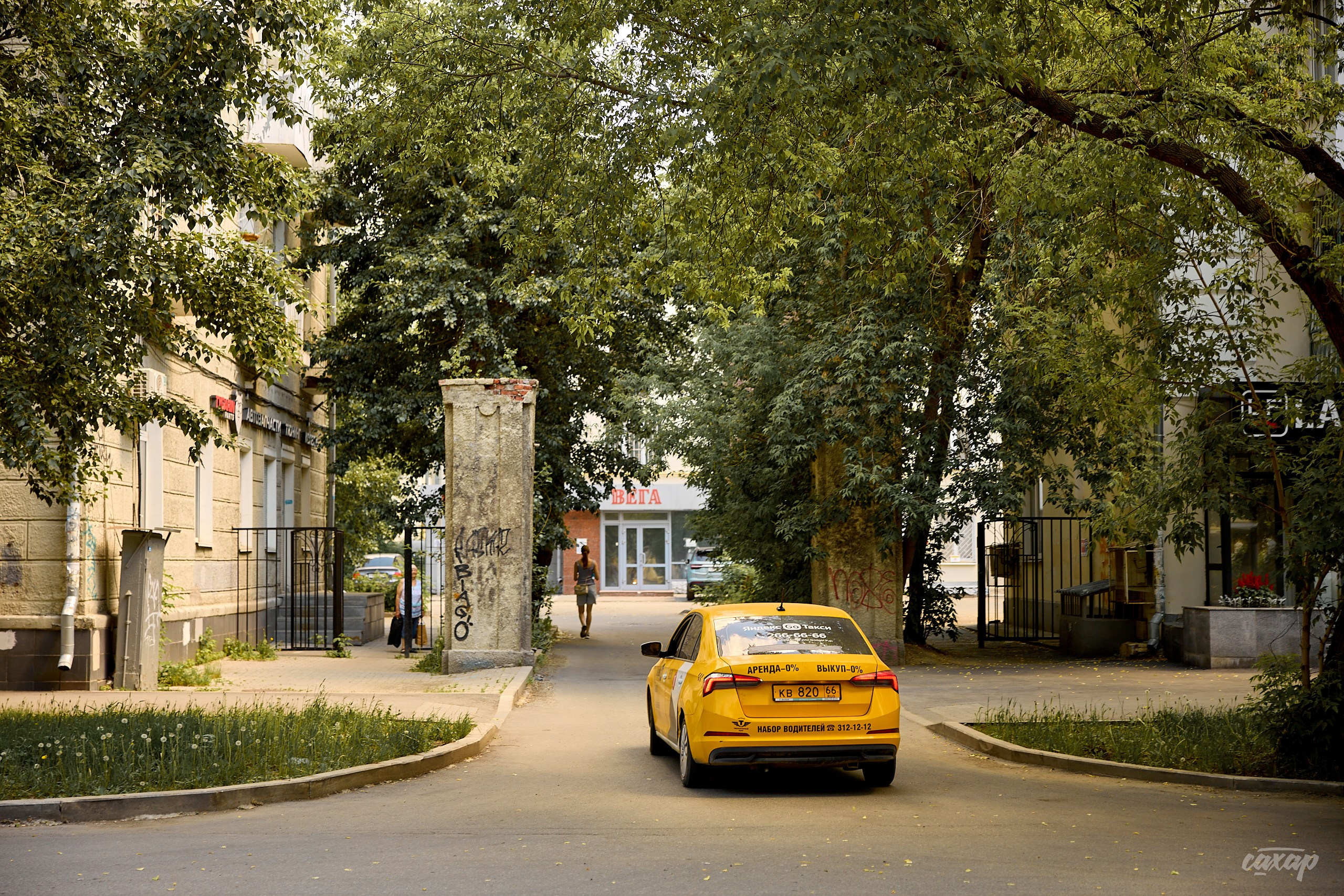 Что вижу, то и пою! от 2024_06_15. Профессиональный фотограф в Екатеринбурге Юра Сахар