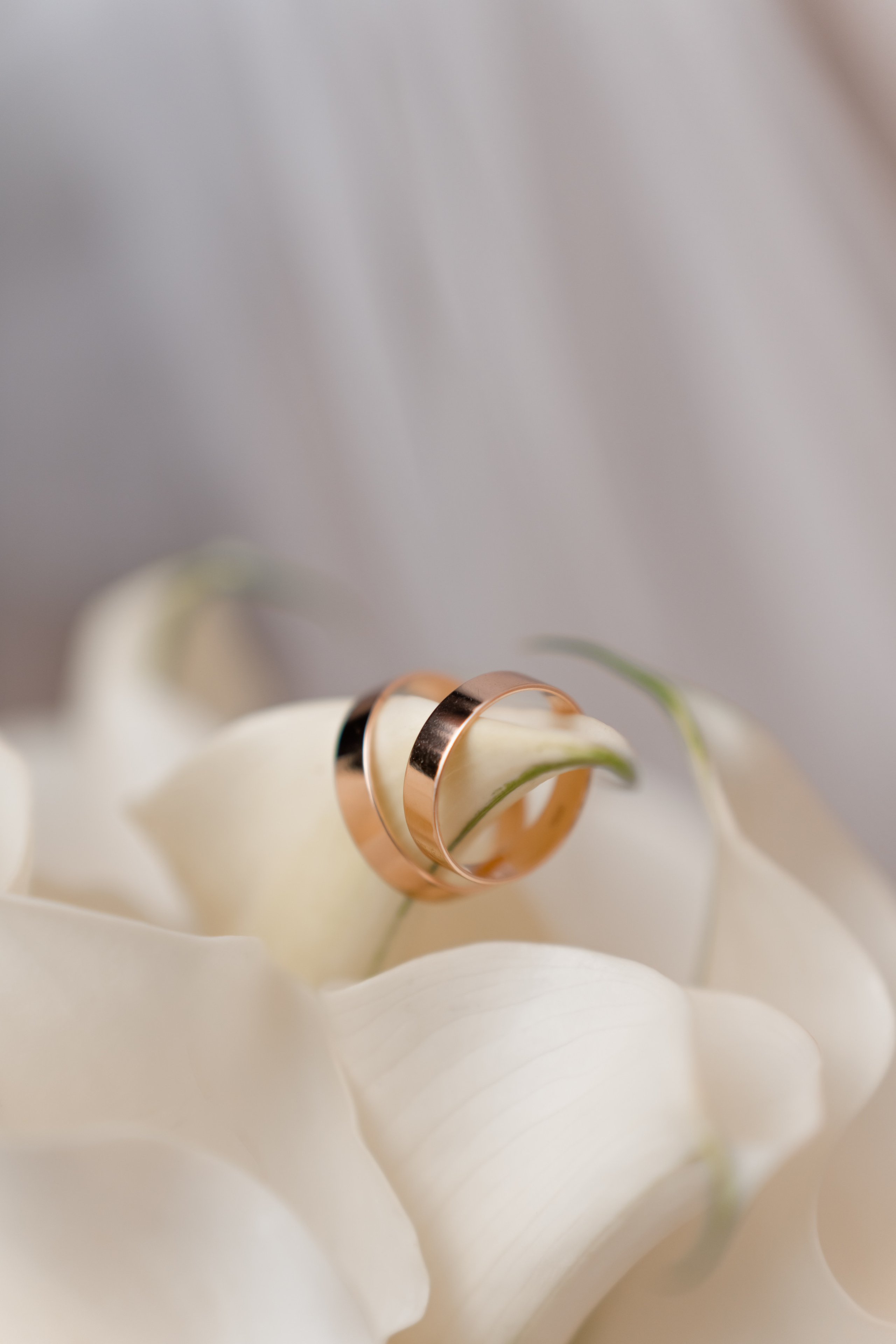 Свадьба. Фотограф Светлана Воронцова